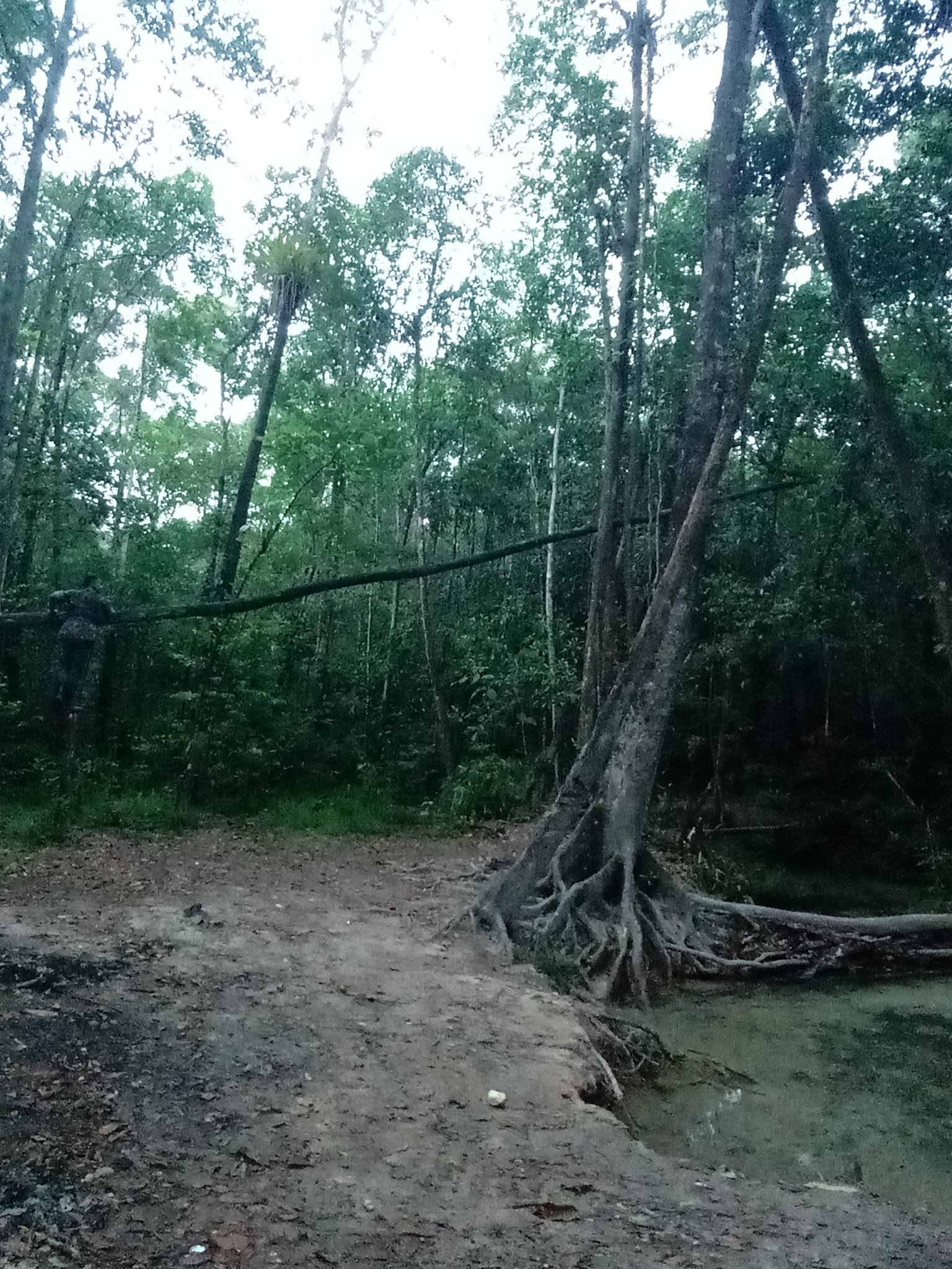助人为乐的独特风景：一个关于善良与自然力量的故事