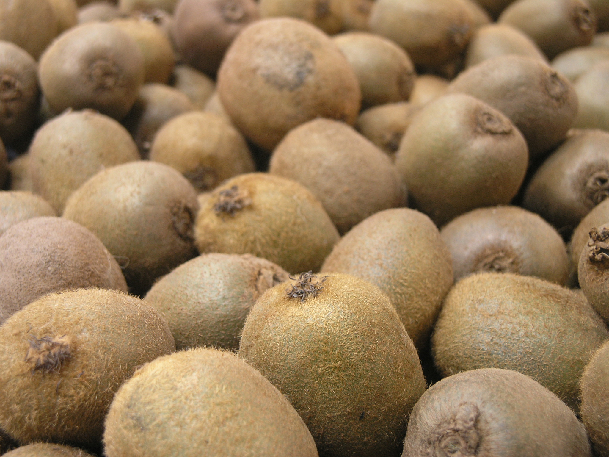 kiwi fruit from the market