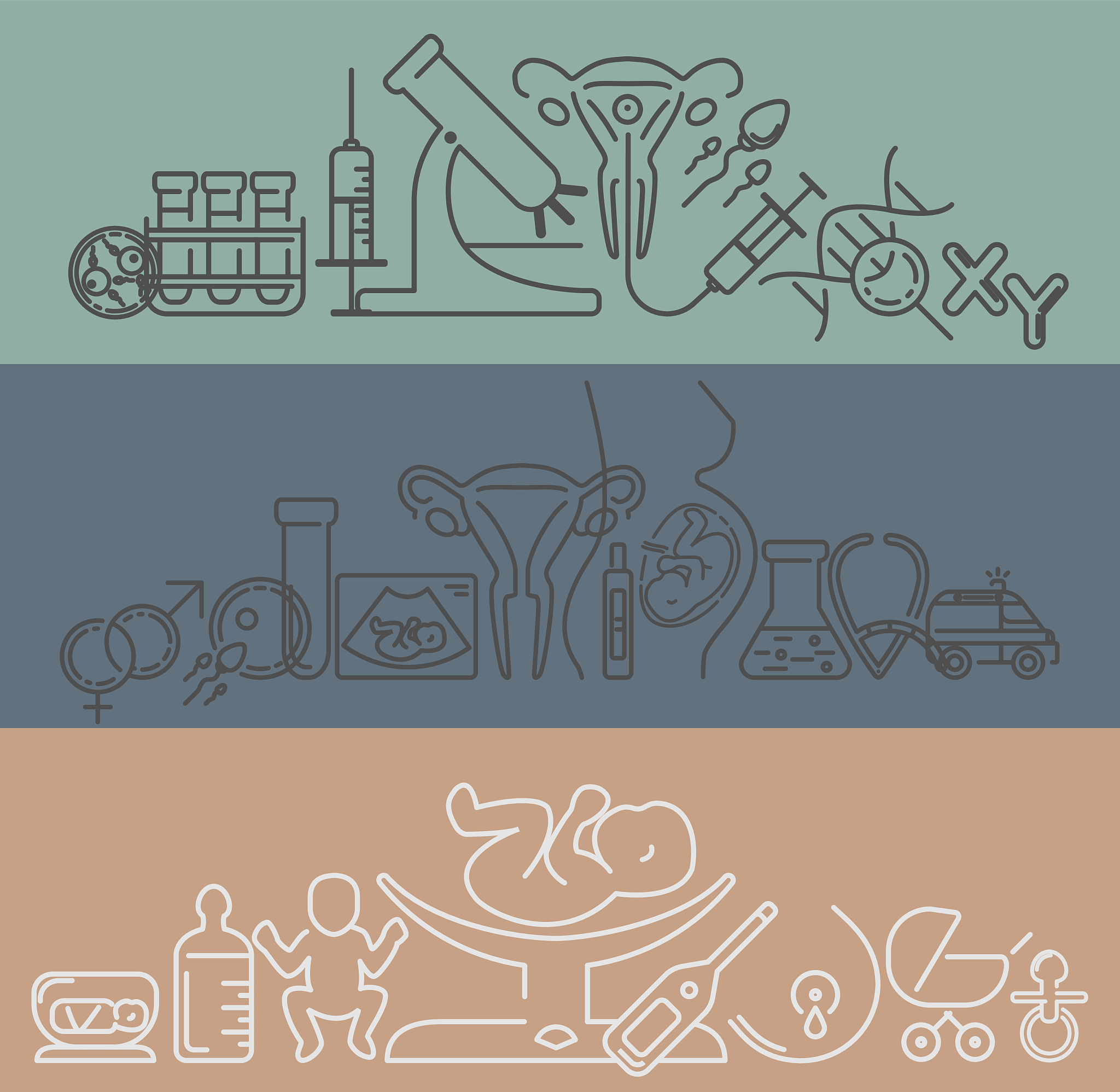 生男生女真的是随机吗？