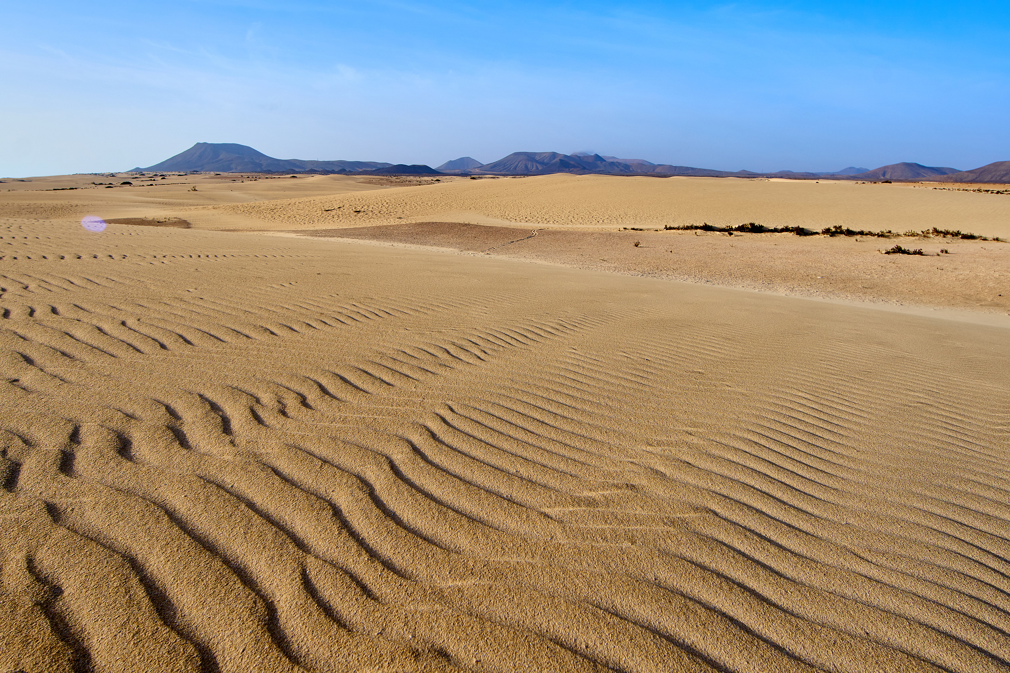 corralejo sand dunes - fuerteventura