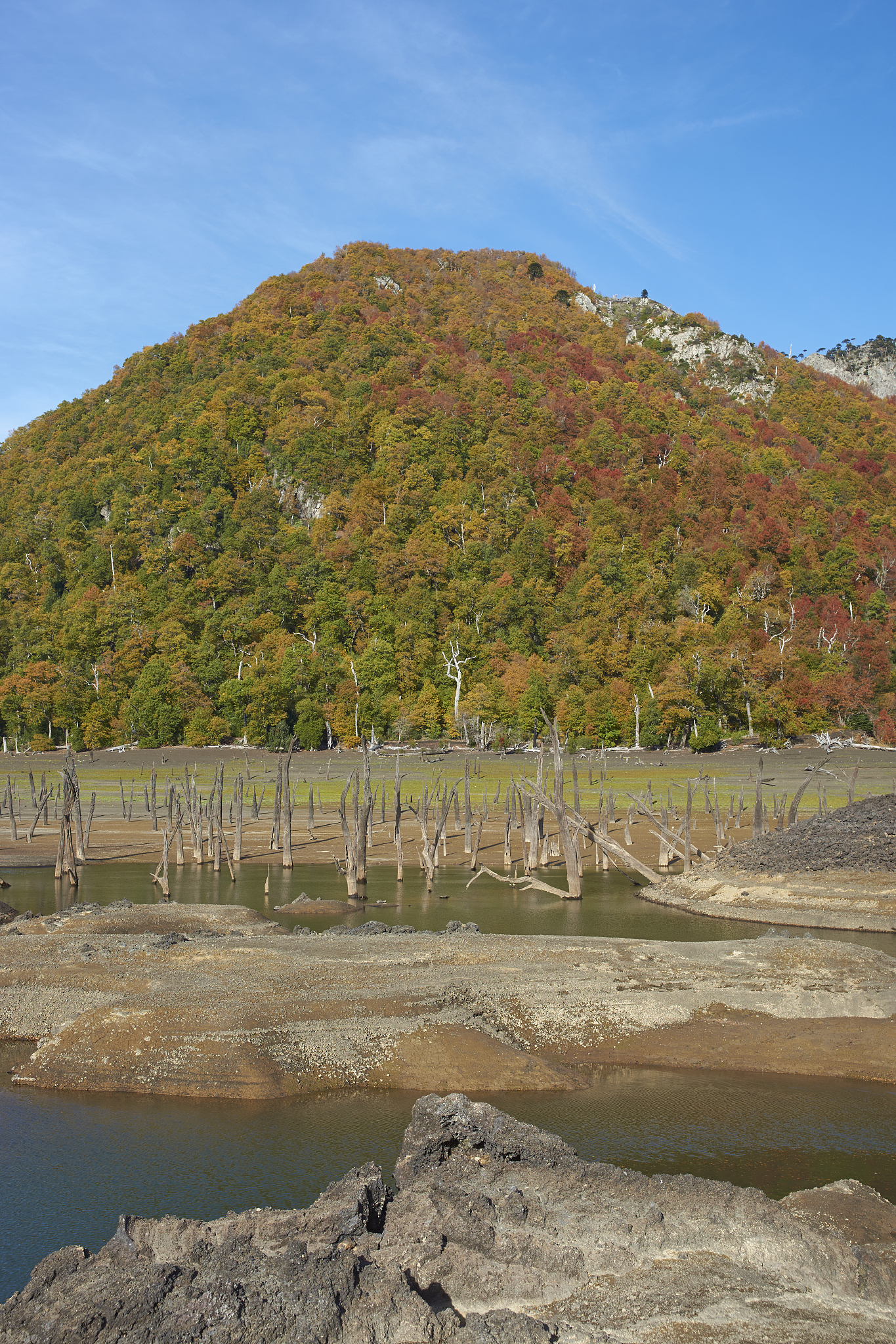 Android APK 加载失败：'Failed to open APK '/data/app/...base.apk': I/O error' 错误解决方法