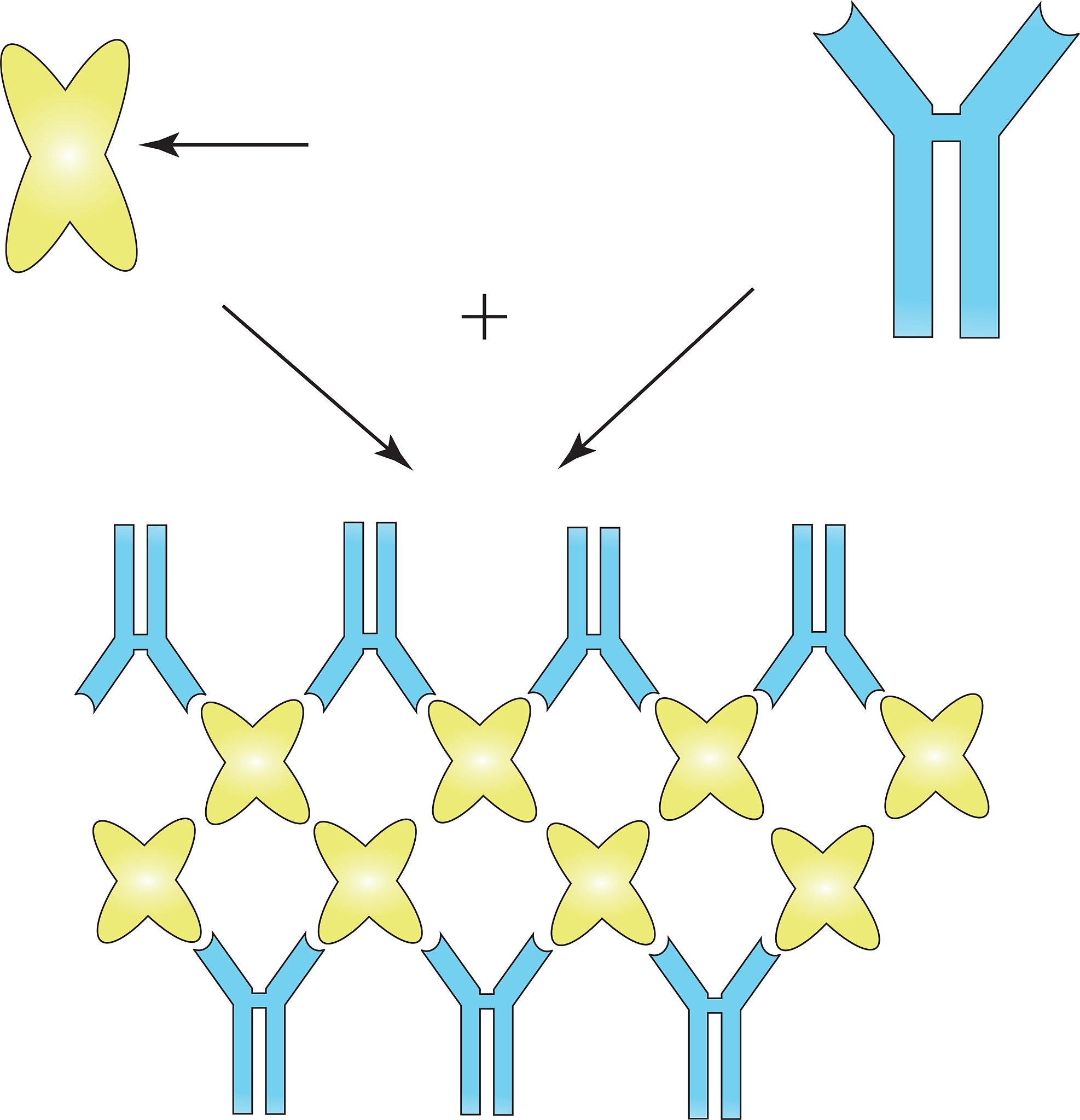 脂蛋白信号肽的半胱氨酸残基功能：连接、修饰和氧化还原反应