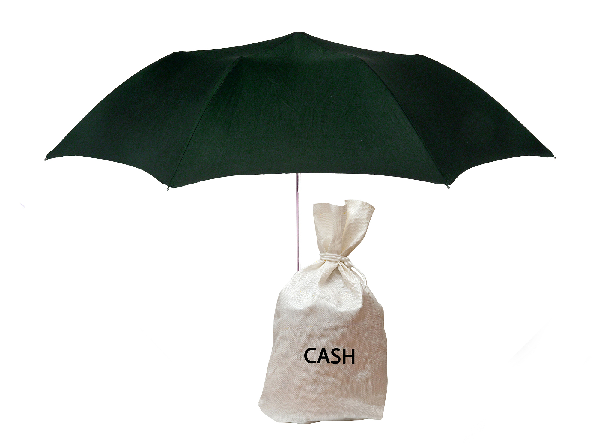 bag with cash