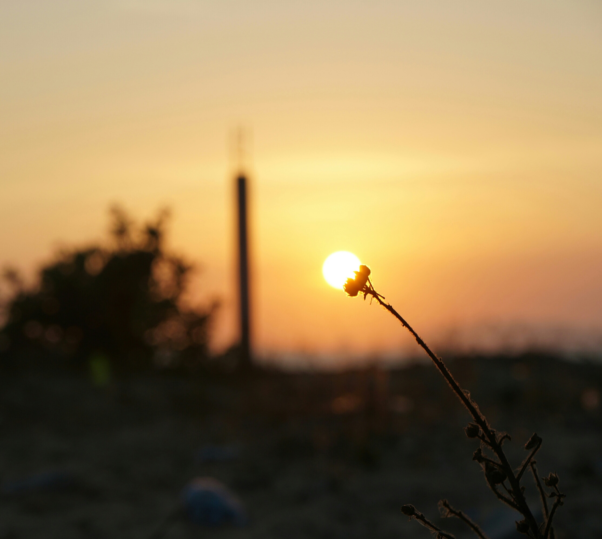 下班路上的诗意：夕阳、清风和心灵的宁静