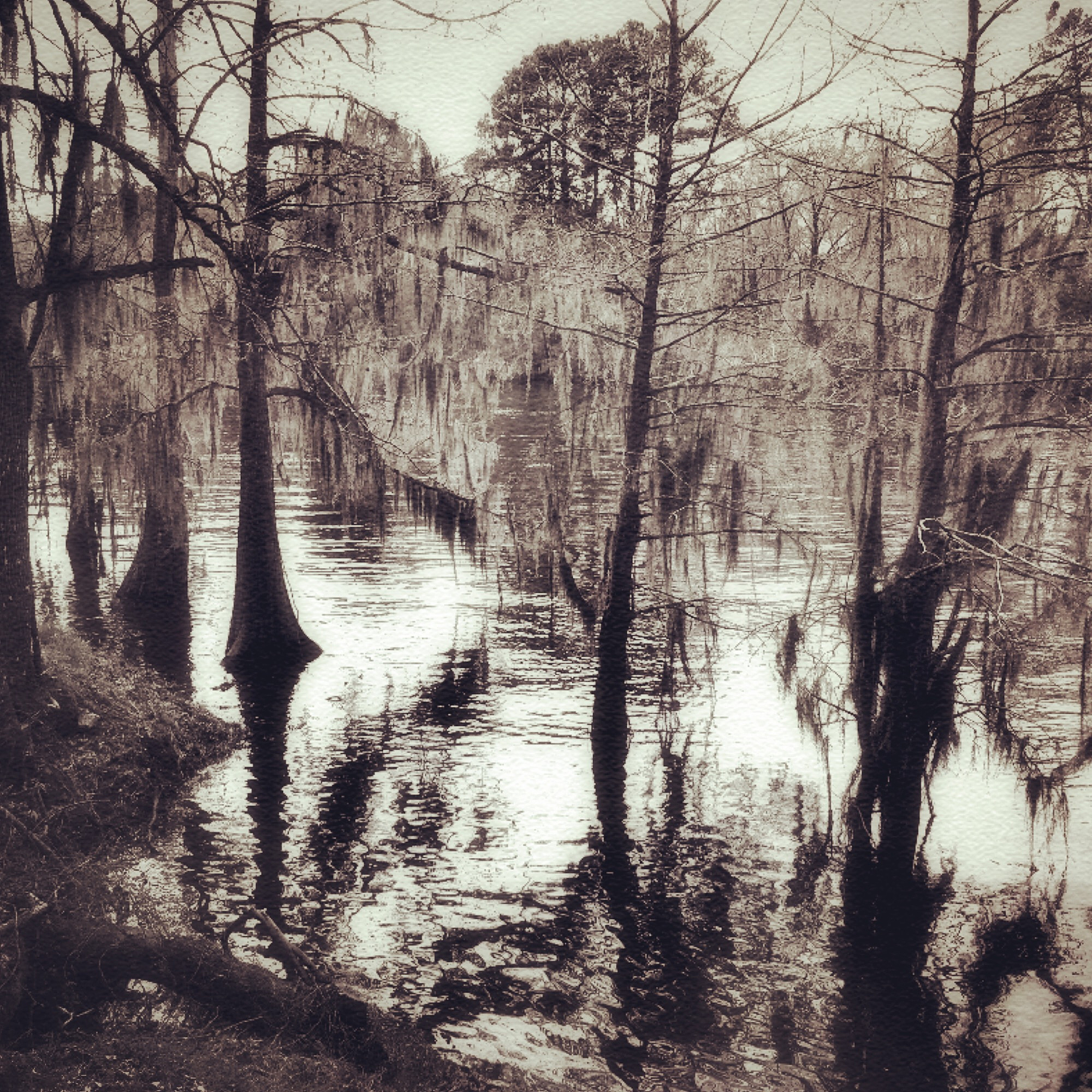 润色：In the heavy-color landscape painting black and white not only refer to the two colors black and white but also include colors with extremely dark and light tones in the overall composition They fo