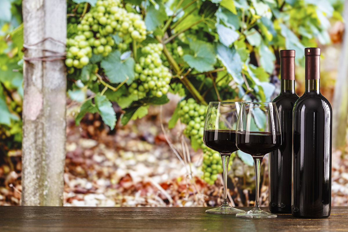 精选红葡萄酒和白葡萄酒清单 - 中国和国际品牌