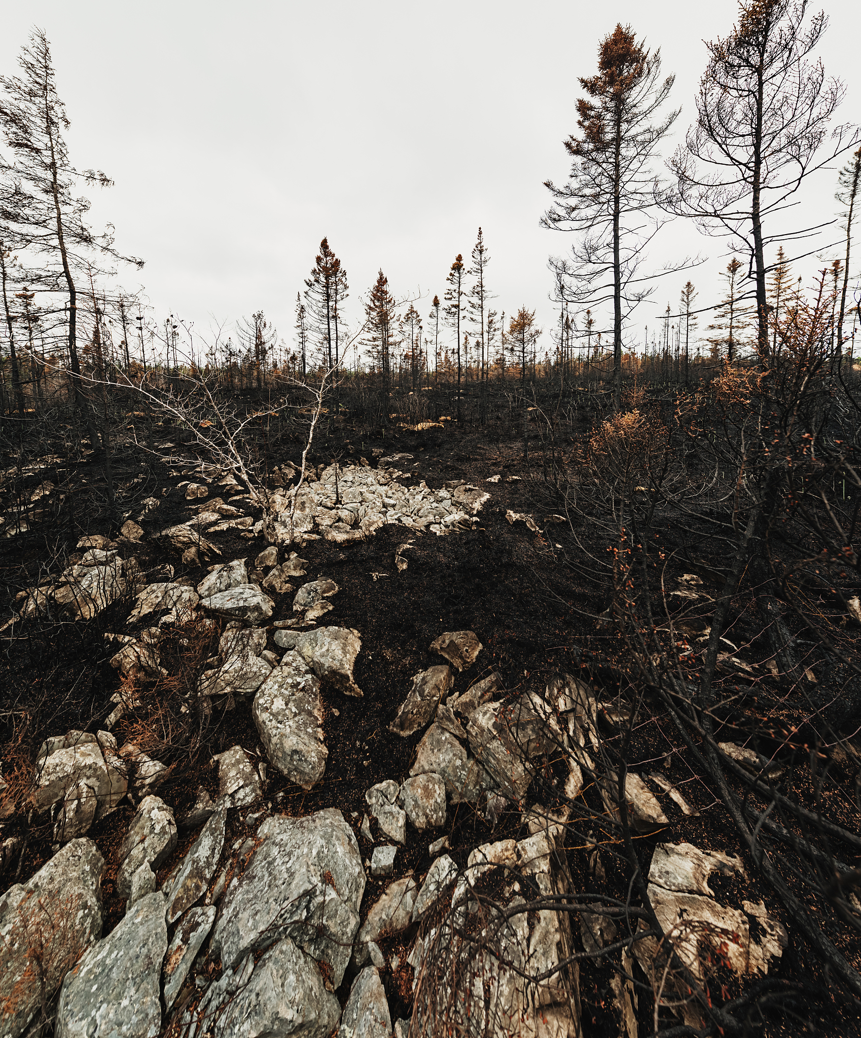 翻译一下As the wildfire spread it consumed countless acres of land destroying homes and displacing families The drought brought about food shortages and famine affecting not just the farmers and their liv