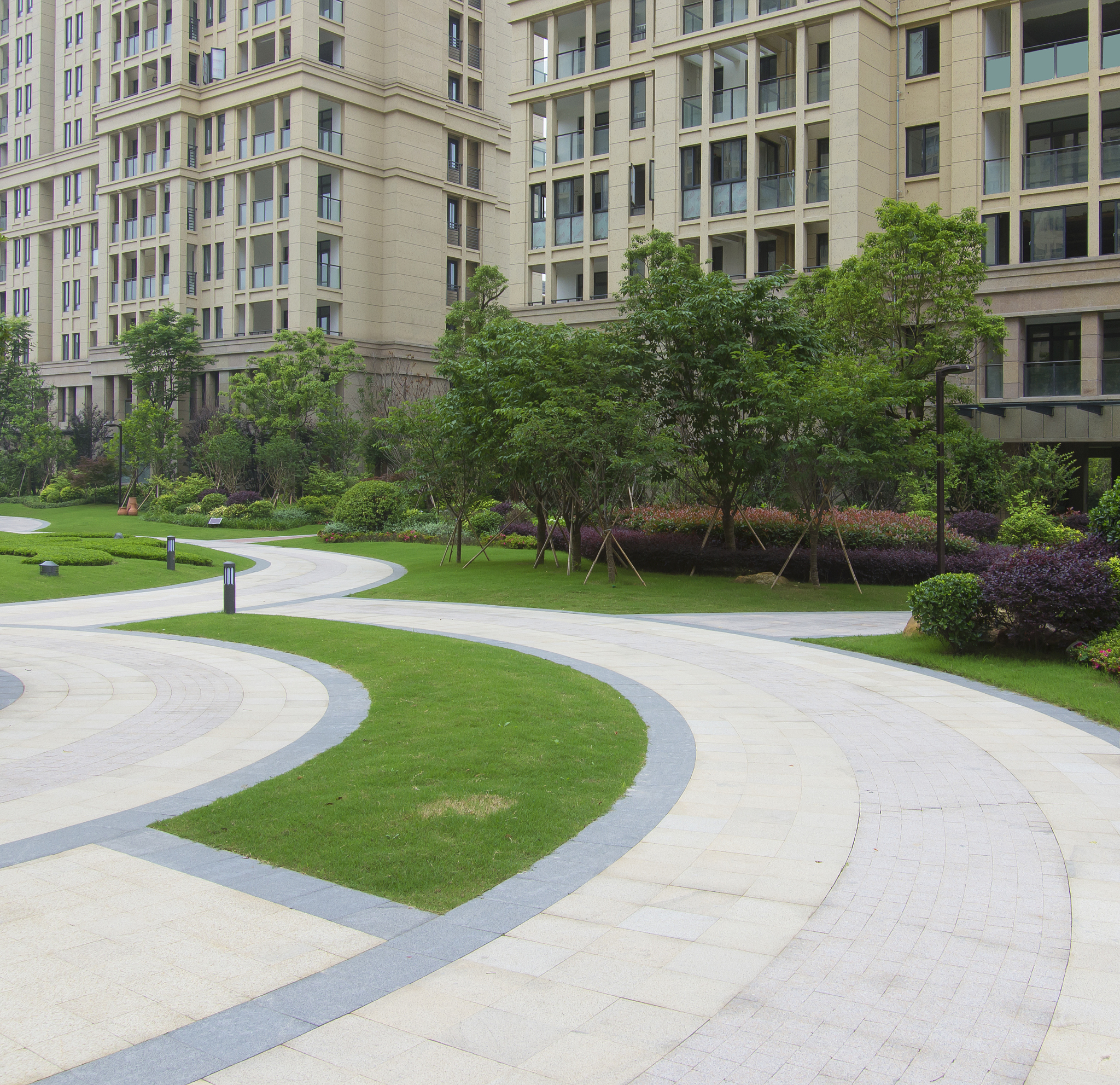 写一下山东金城建设有限公司的发展历程