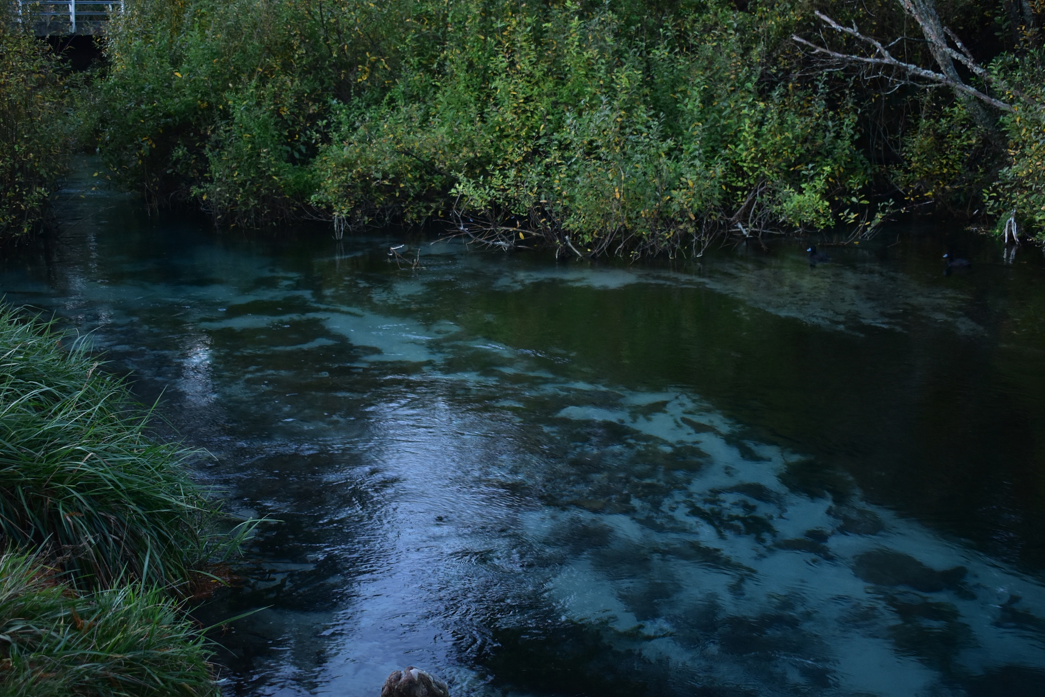 blue water