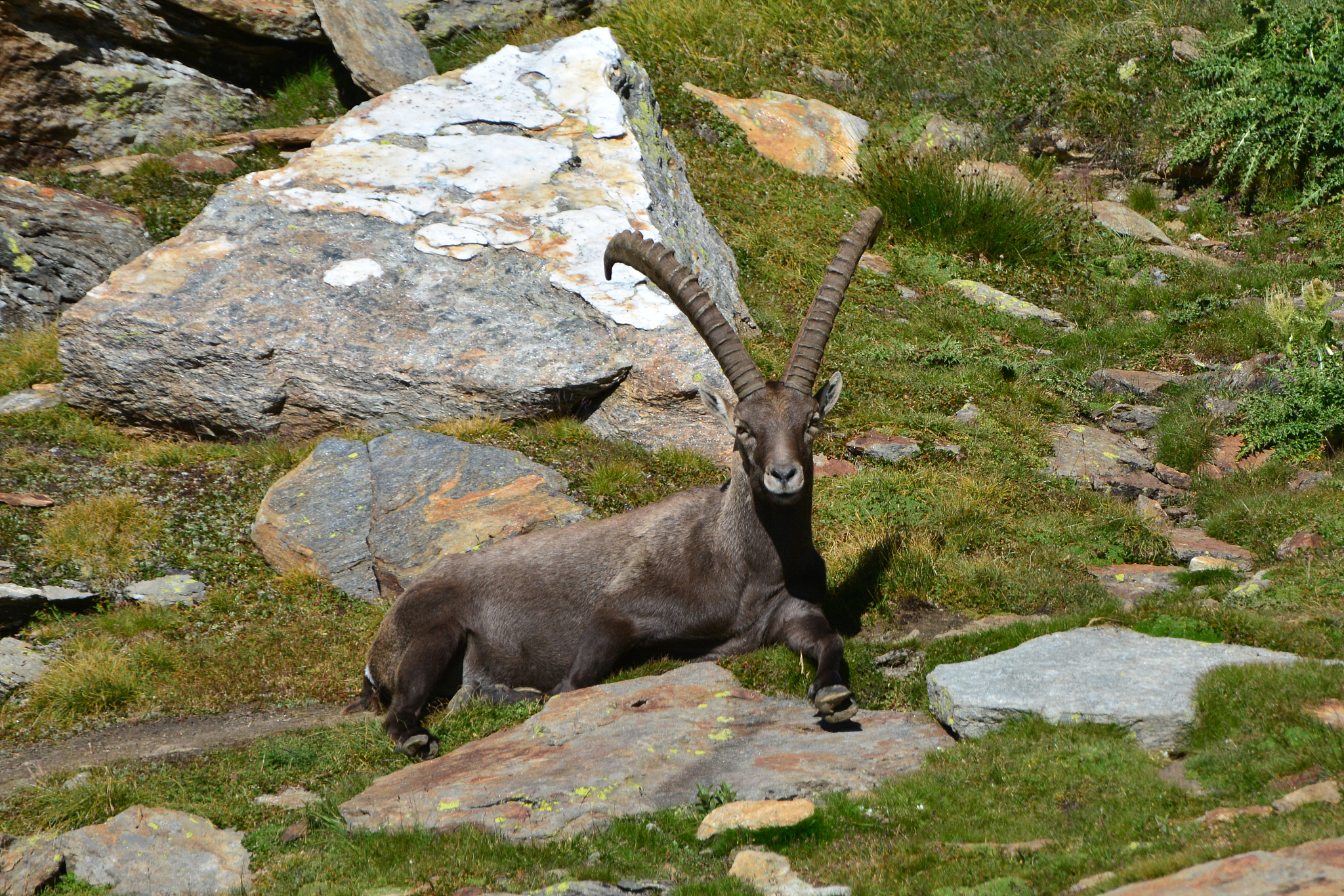 我觉得起名非常困难有没有可以提供雷索两个字相关的网名？