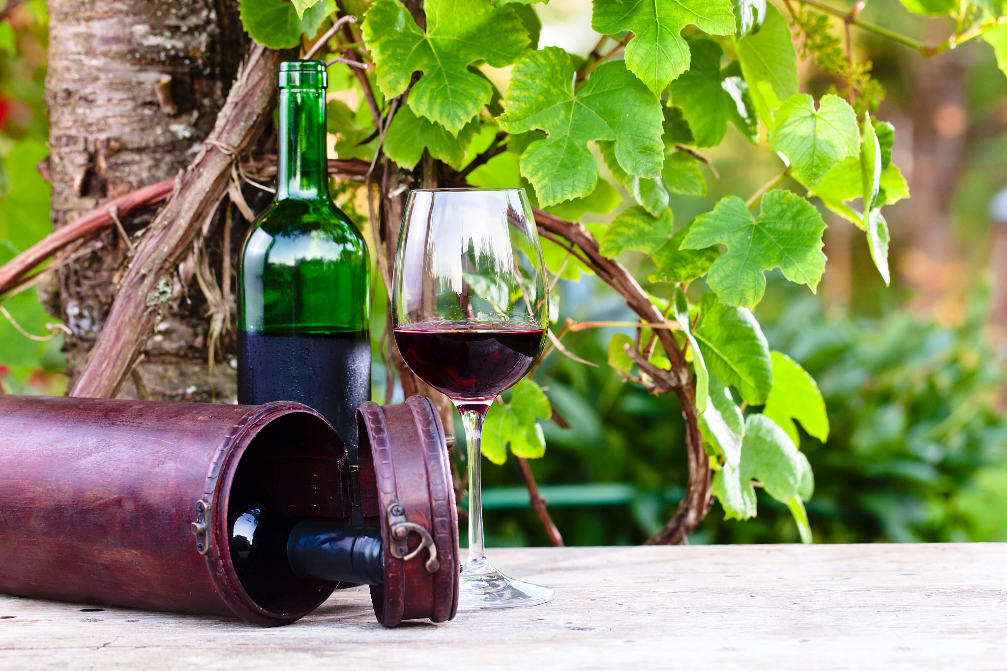 天山北麓半甜红葡萄酒：口感醇厚，甜味适中，轻松场合的完美选择！