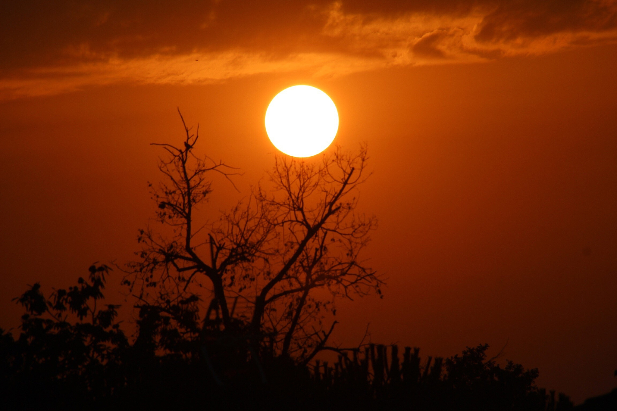 夕阳沉 晓月升对仗 唯美诗句 夕阳沉 晓月升对仗 唯美诗句