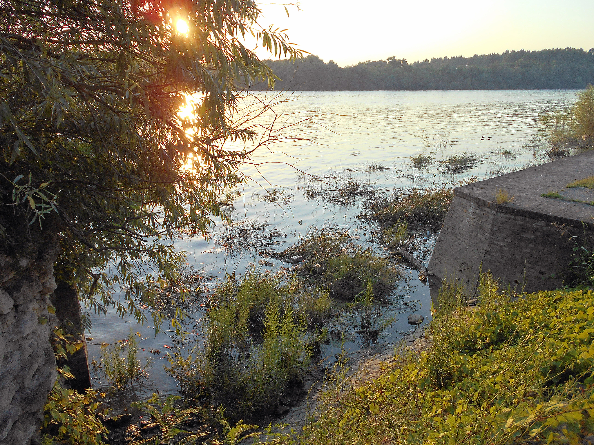 属中山地貌对植物的影响