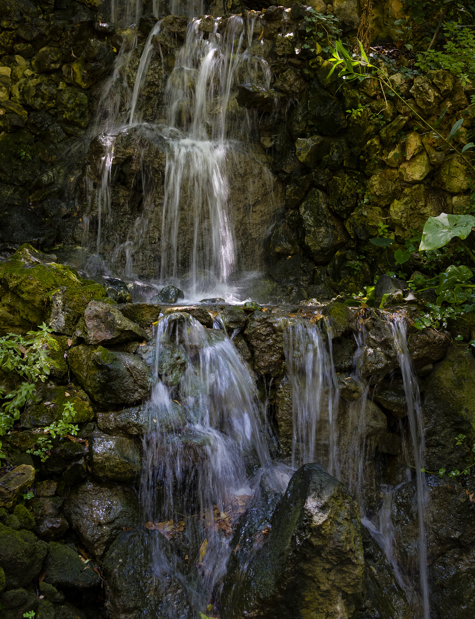 杭州市旅游职业学校旅游服务与管理专业怎么样专业解读