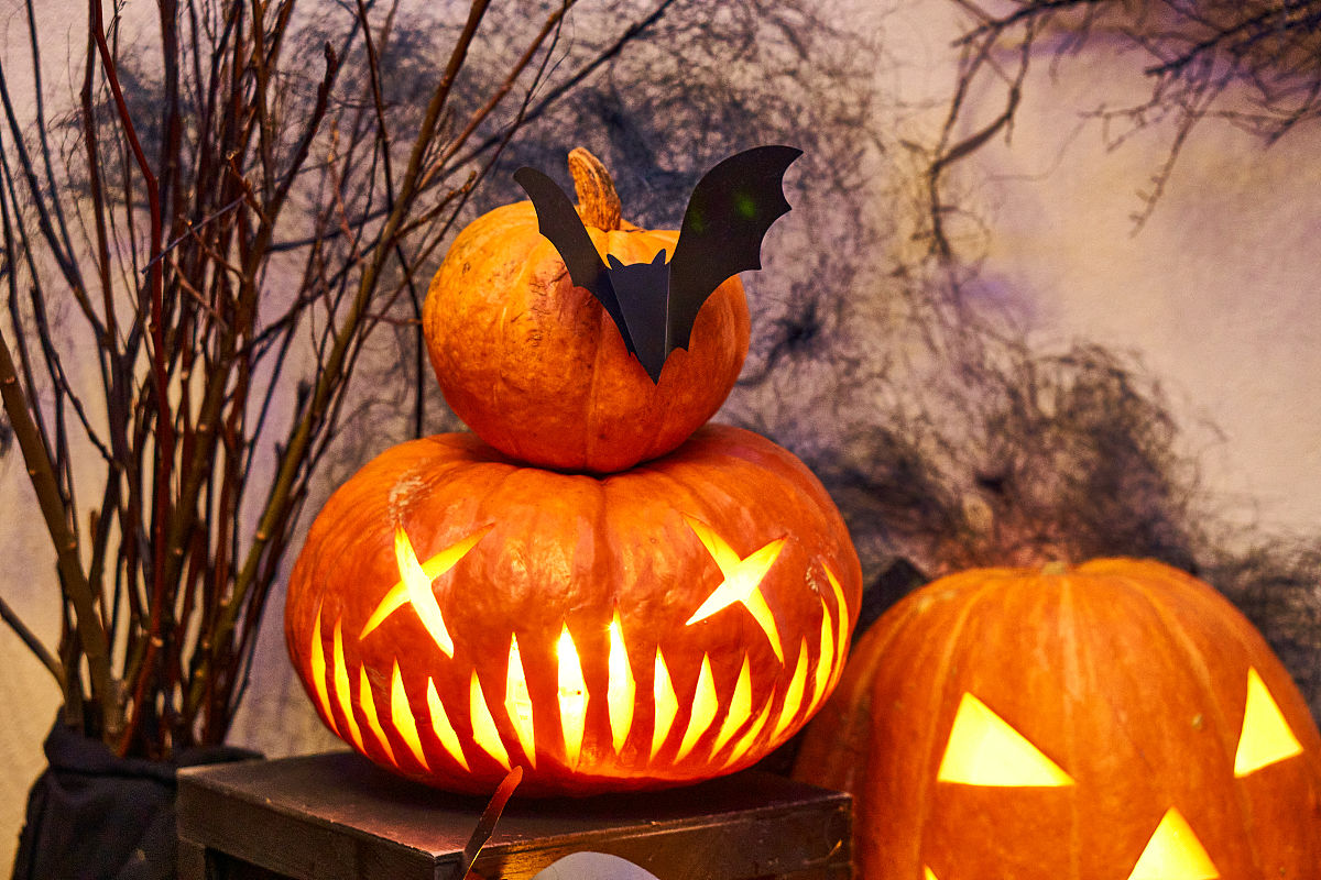 过六一儿童节有四个小朋友有一个蛋糕二年级作文怎样写