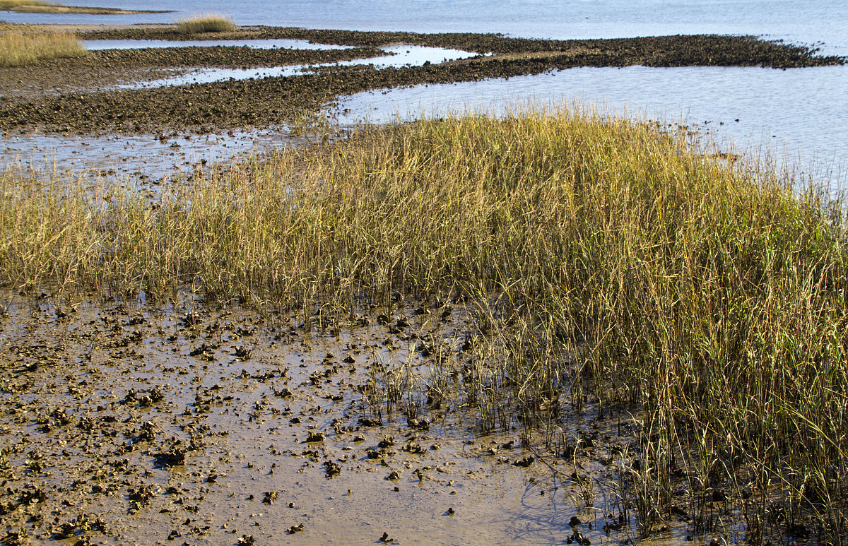 威海市水产学校2023年3+2招生简章