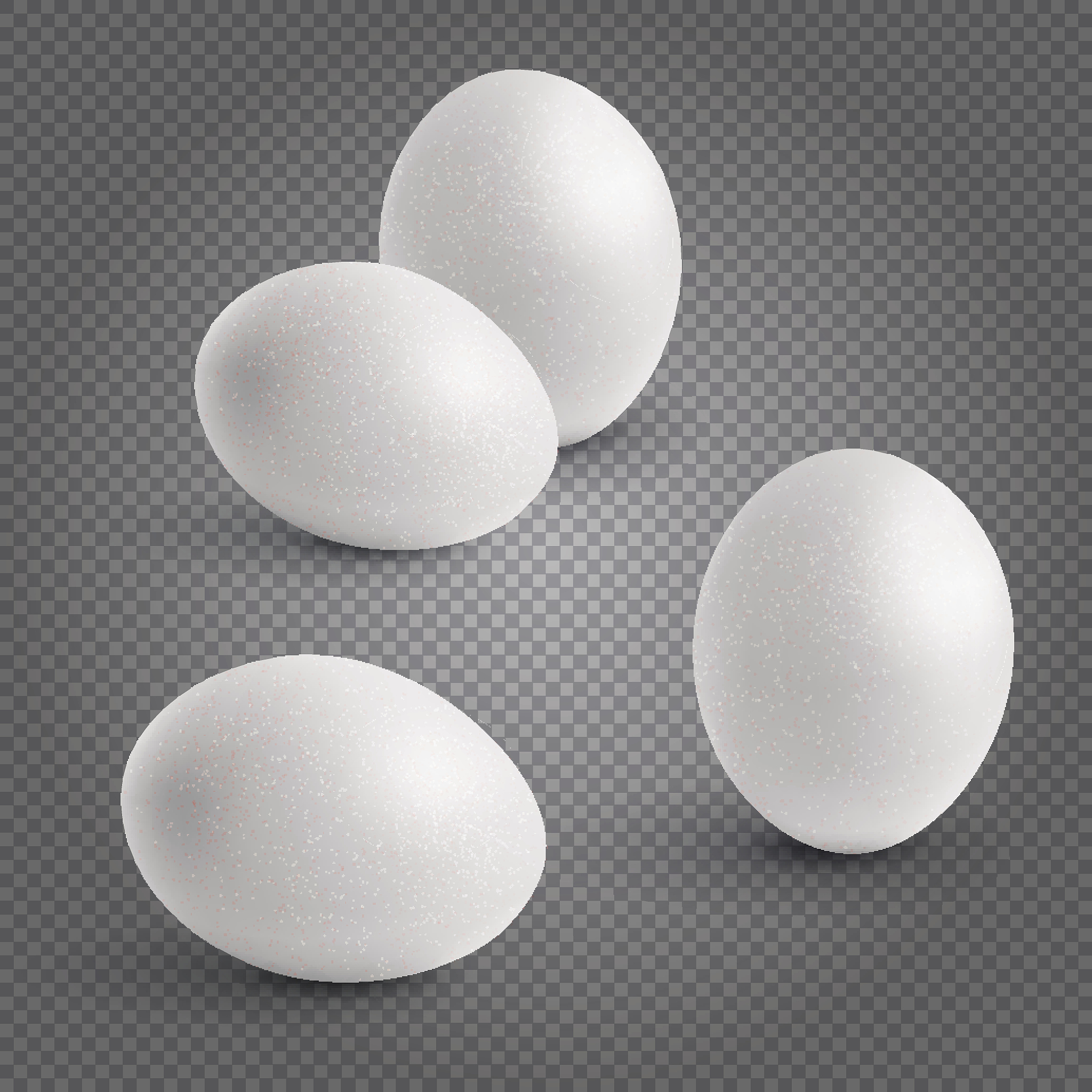 先有鸡还是先有蛋？生物学角度告诉你答案