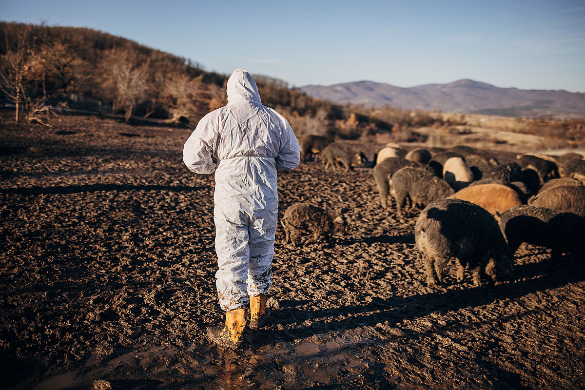 曲靖兽医学校2019年中考五年一贯制普通专科特色招生专业