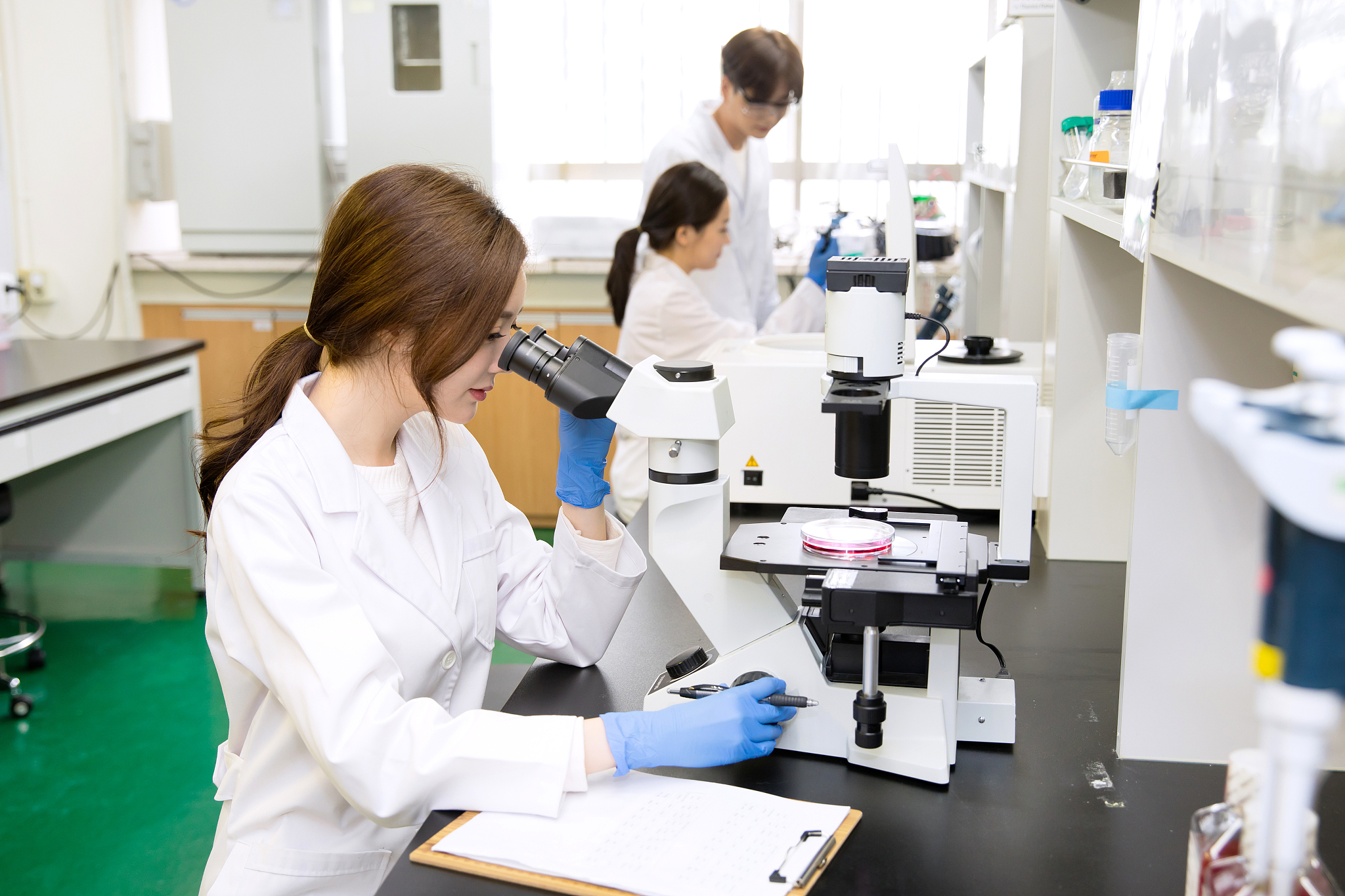 黑龙江民族职业学院英语教育专业怎么样？教学质量、就业前景、发展趋势分析