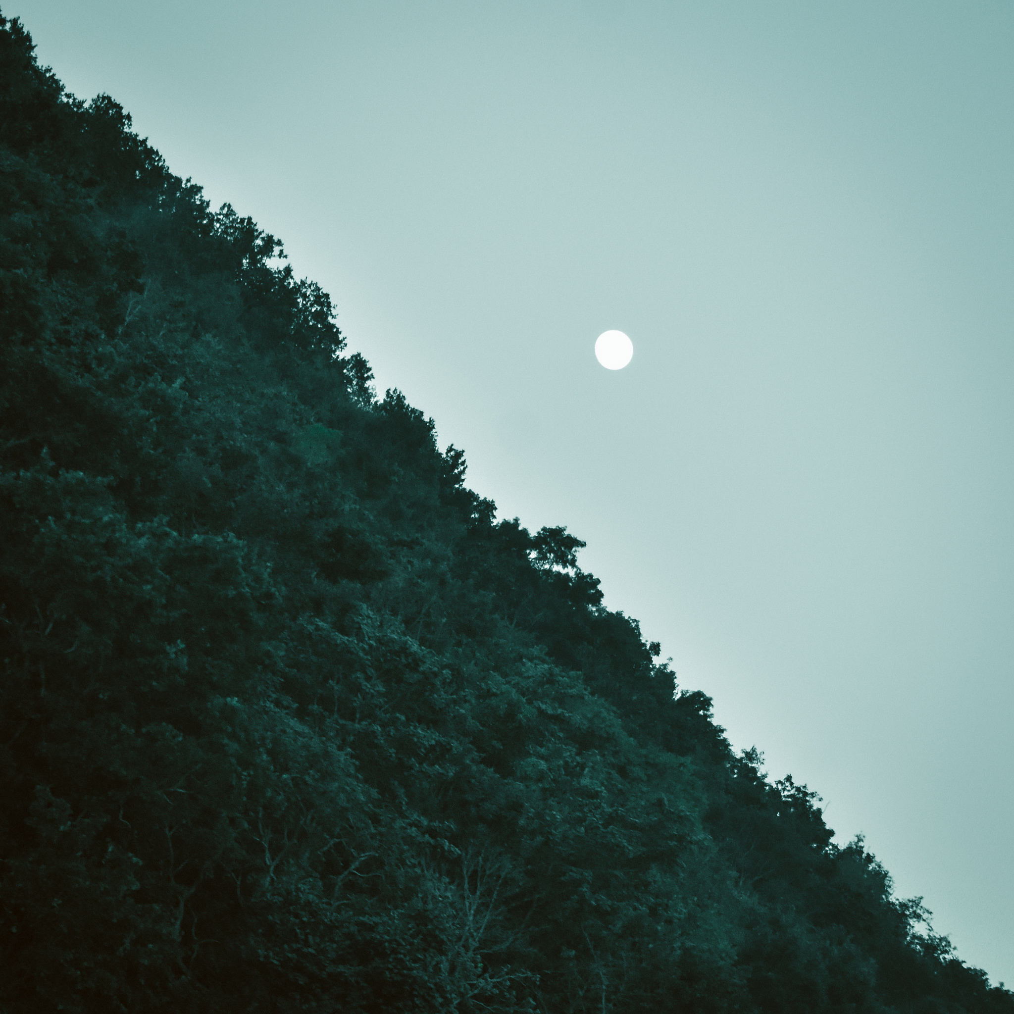 皓月清凉你是人间曙光下一句流云飘荡伴我心坦荡进学解忧愁烦恼全抛开进学解