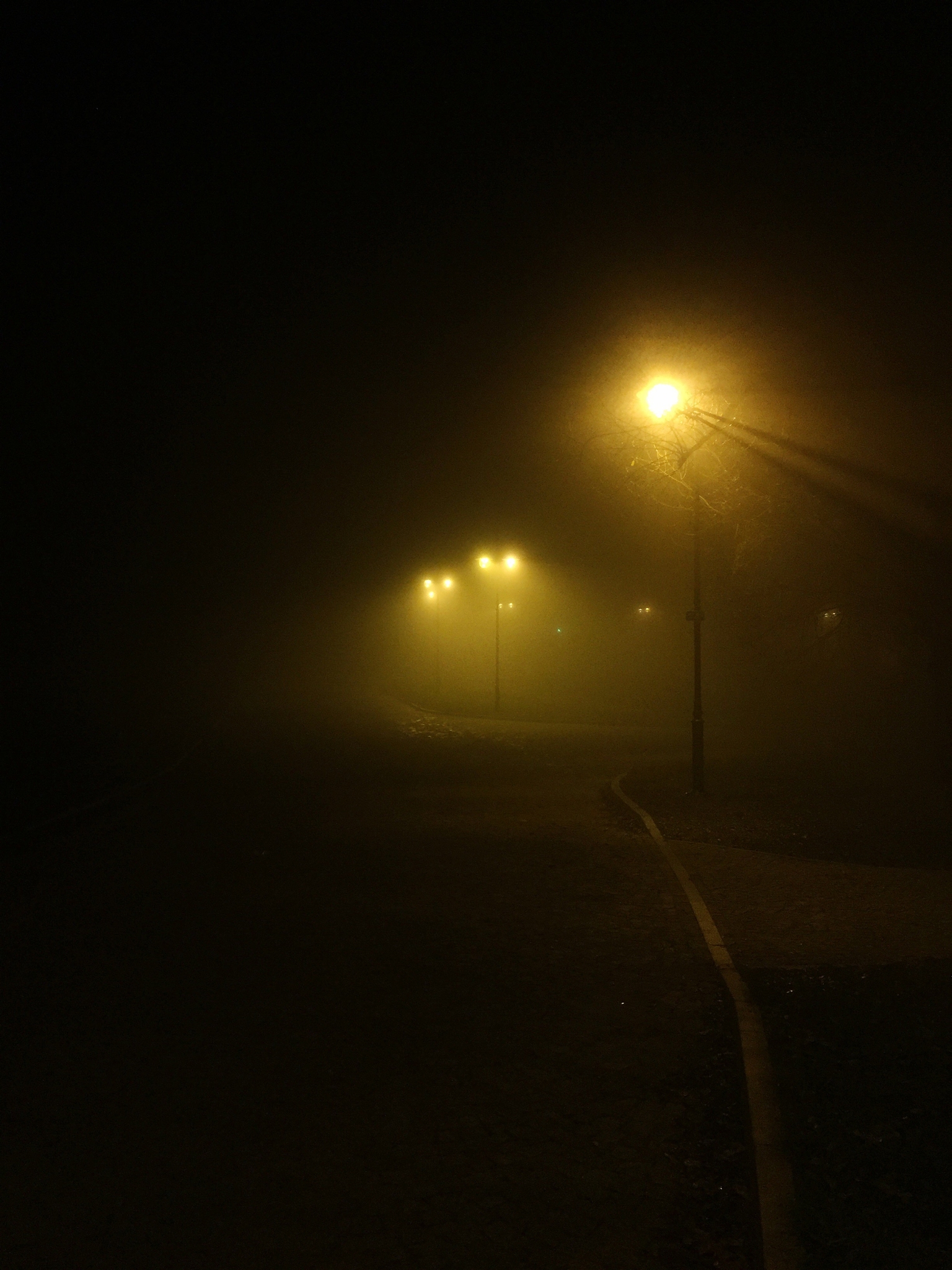 illuminated street lights at night