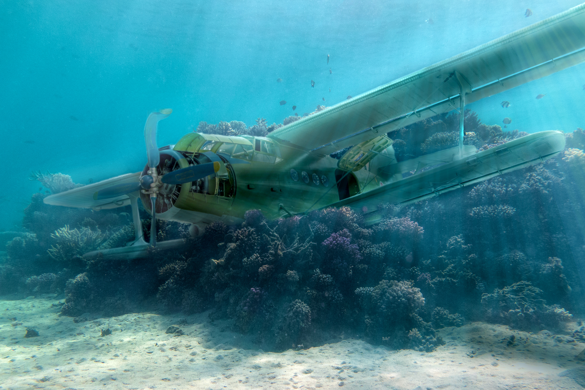 lost plane
