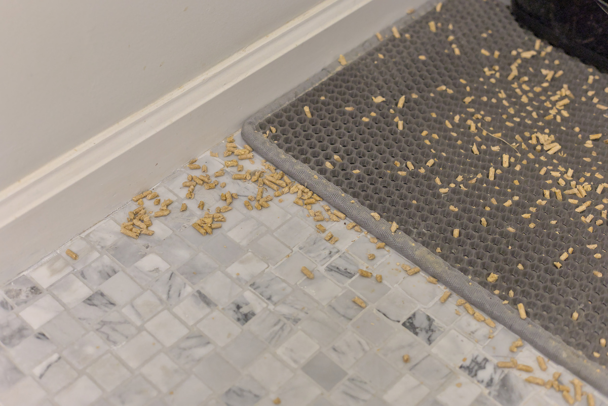 猫砂发展史：从简陋到智能，见证猫砂行业的革新