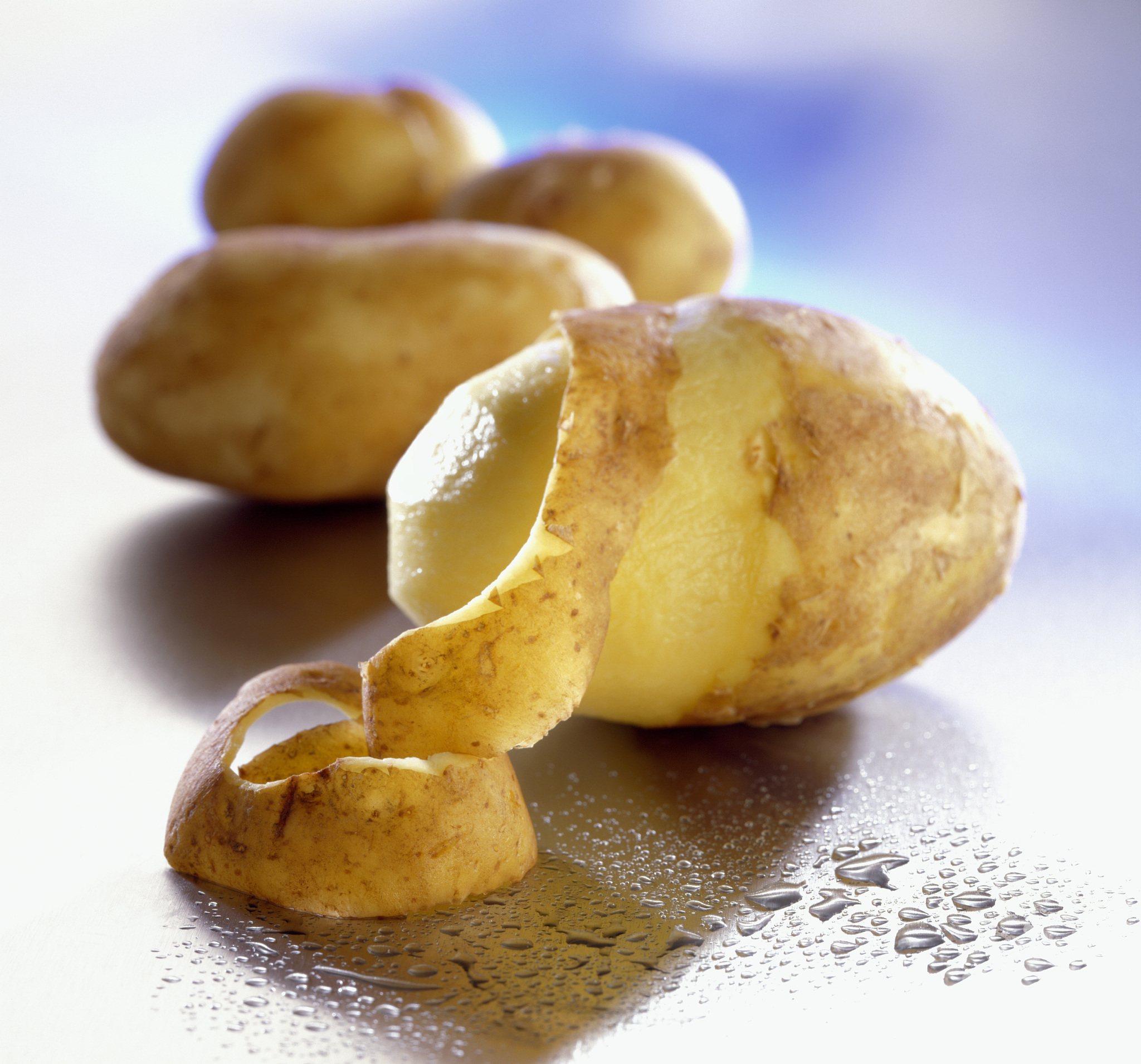 Gardener's Best® Jumbo Potato Grow Bag Review: Grow Potatoes in Small Spaces