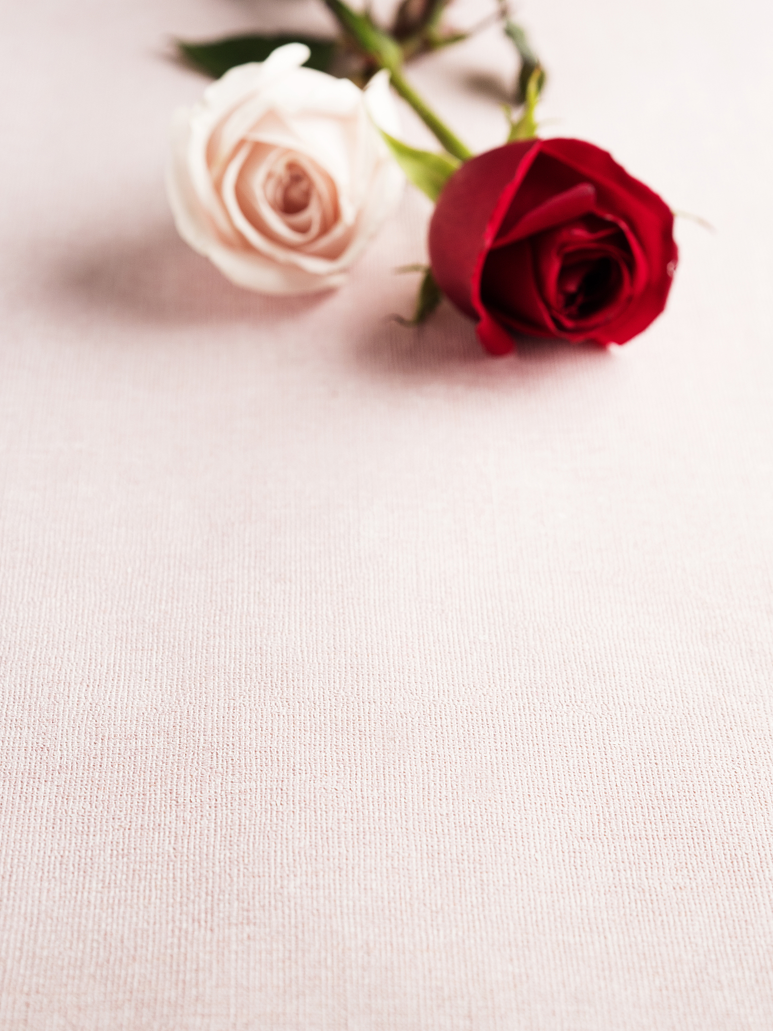 AY 字母组合的所有英文单词 - 全面列表