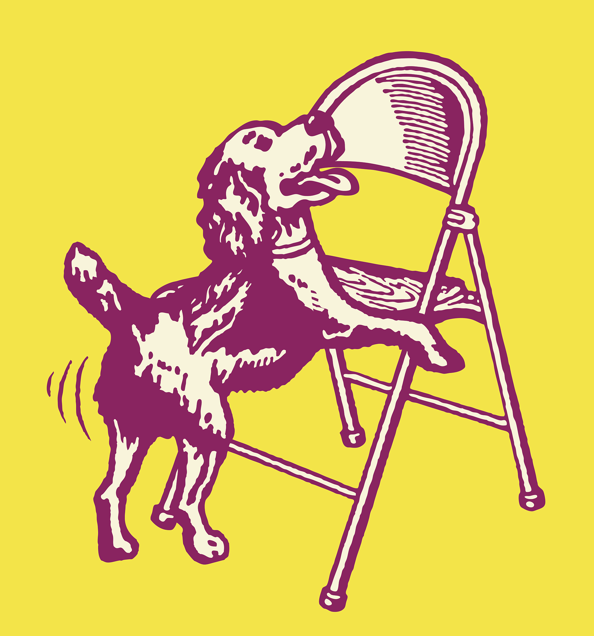 给我一个狗狗椅的形容不锈钢和马鞍皮的材质做工精细 限制100字