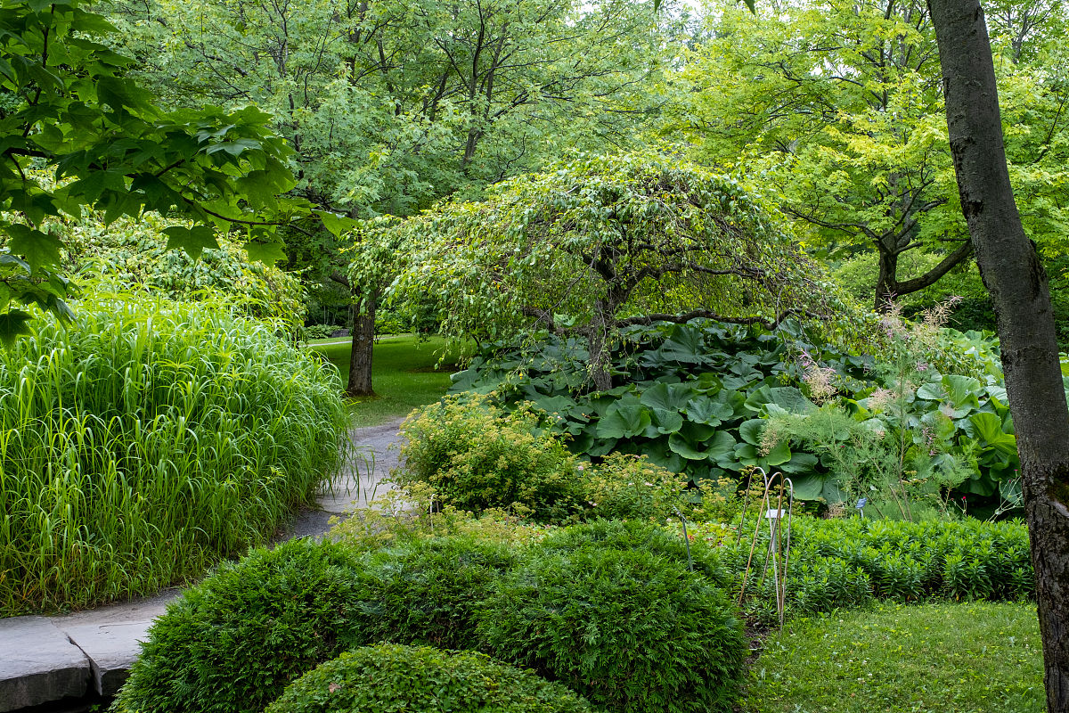 北京市园林学校园林技术专业介绍