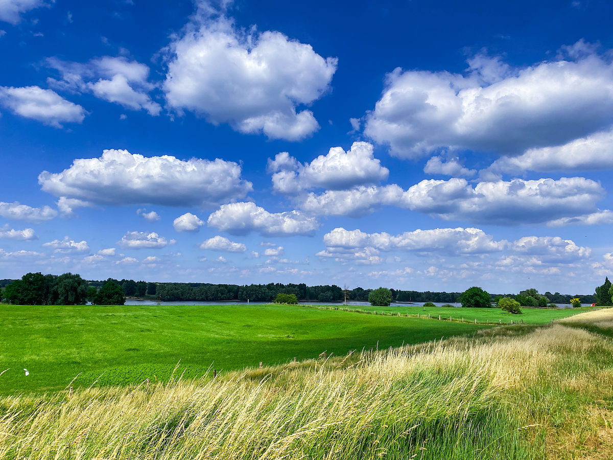 环境艺术设计专业都包括什么课程？