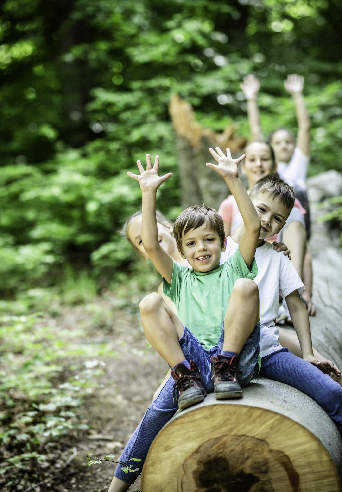 group of children playing and sitting on tree in the woods stock