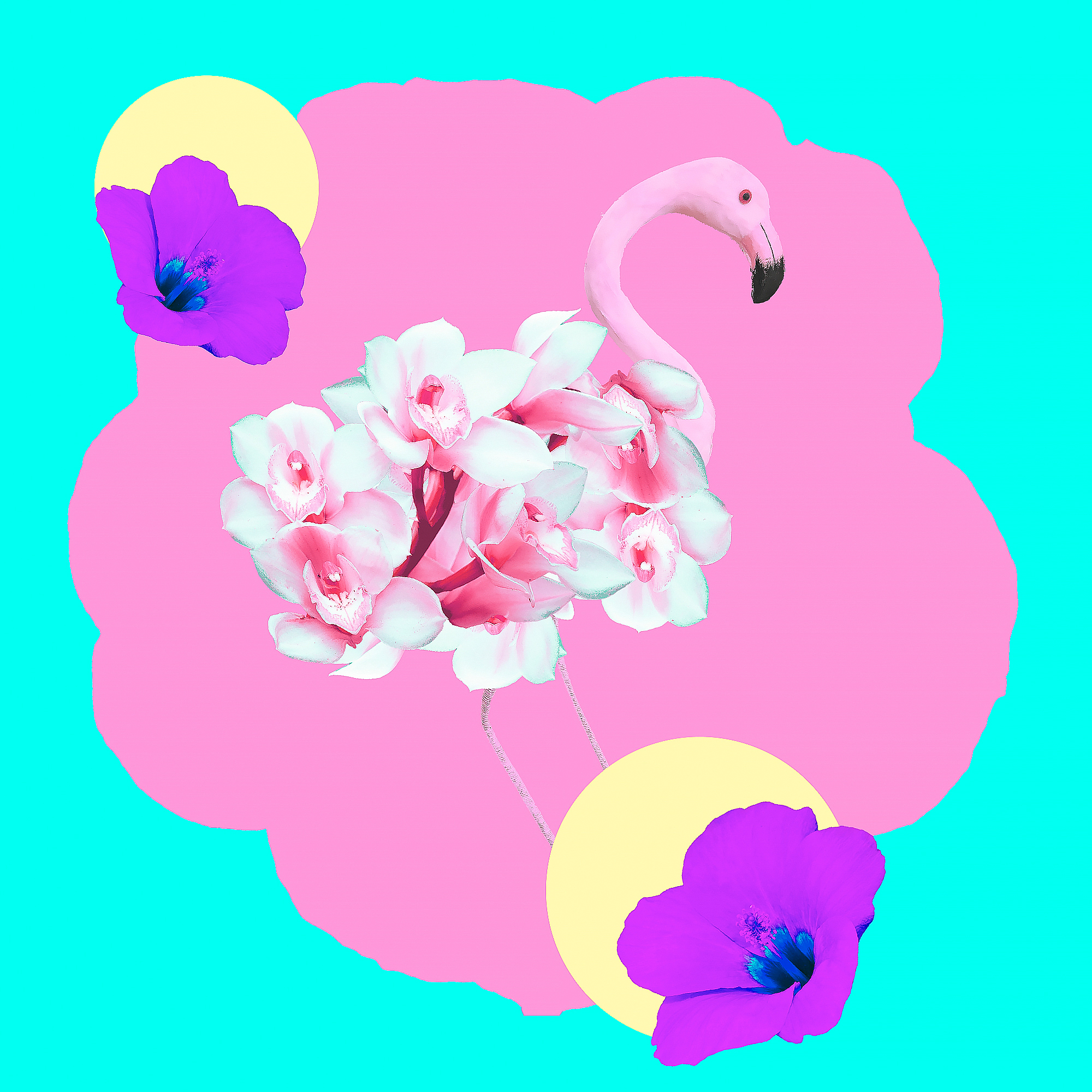 Technological Harmonies: Unveiling the Beauty of Art and Technology