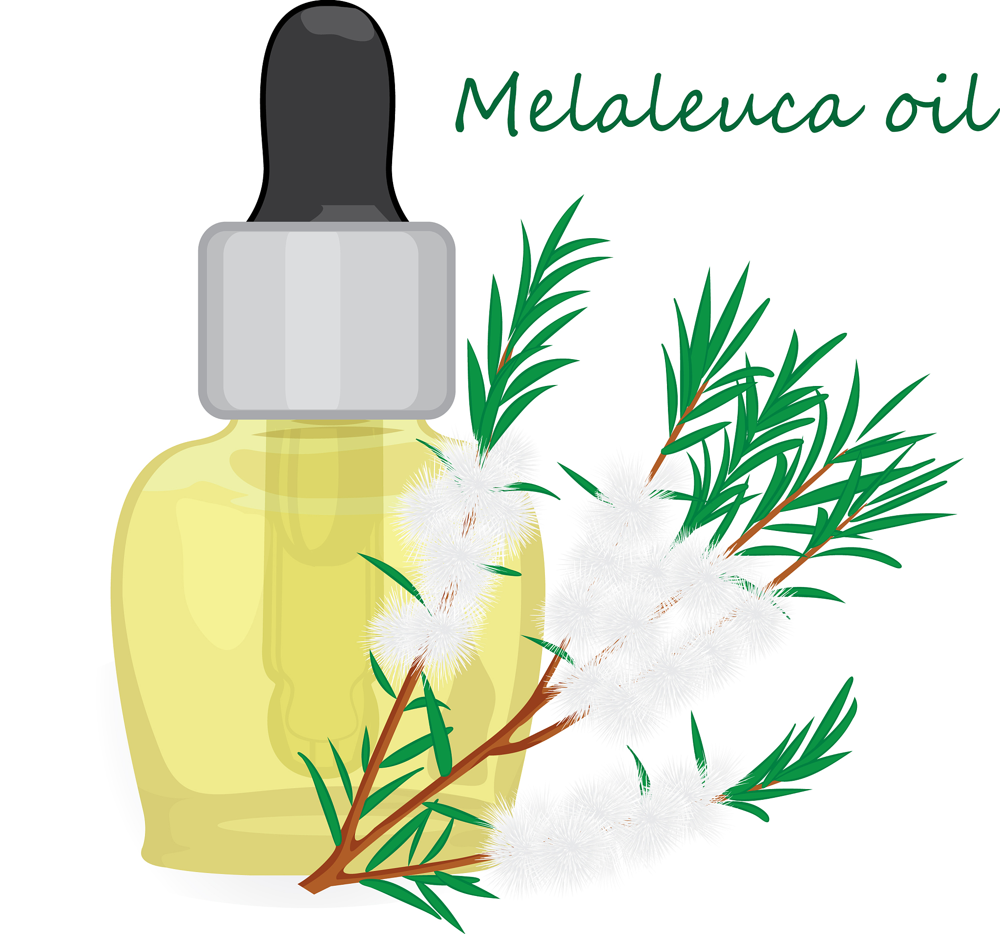 郑州仲景国医专修学院医学美容专业就业前景分析