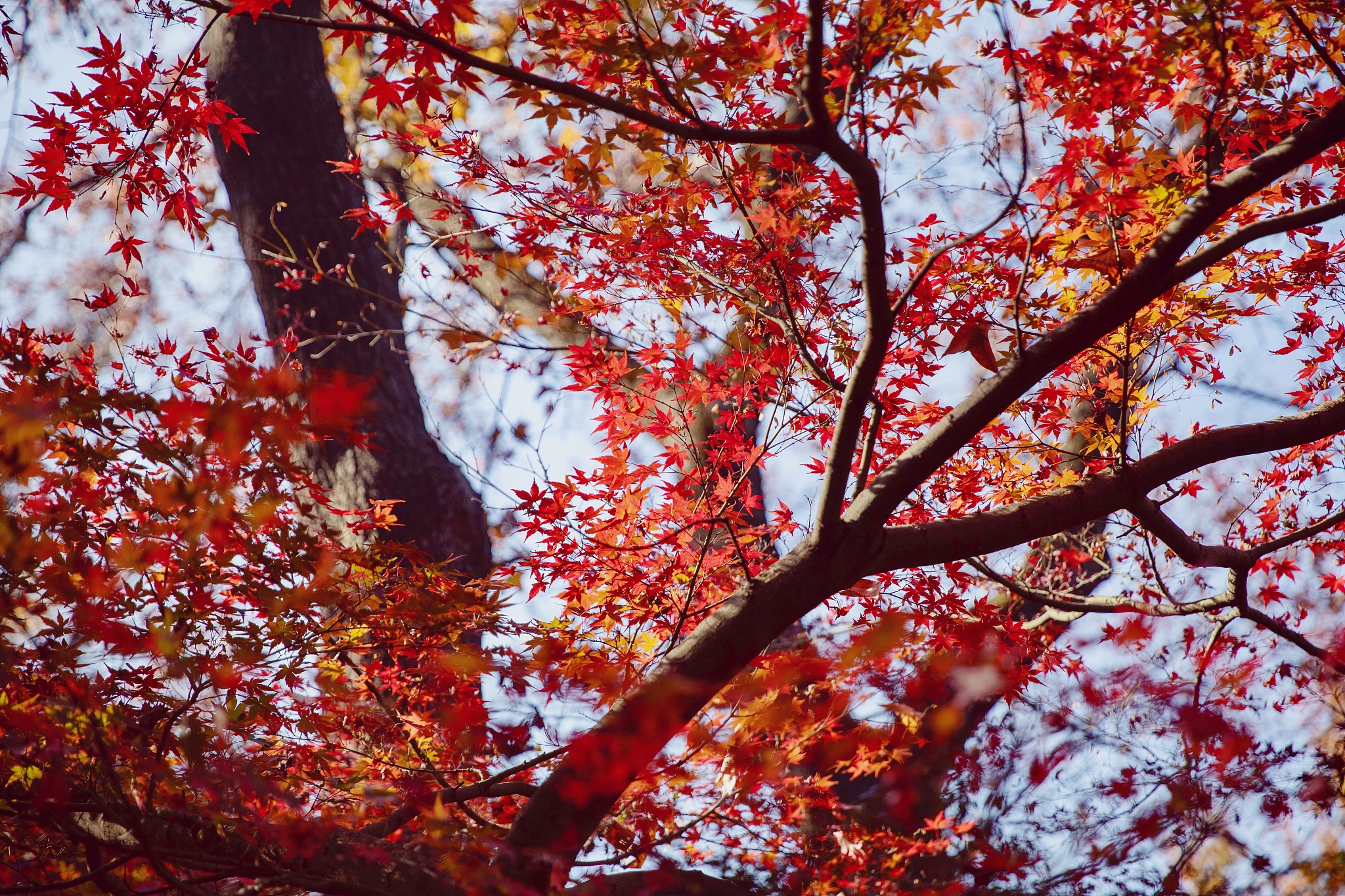 关于秋天的诗句和名言名句电影