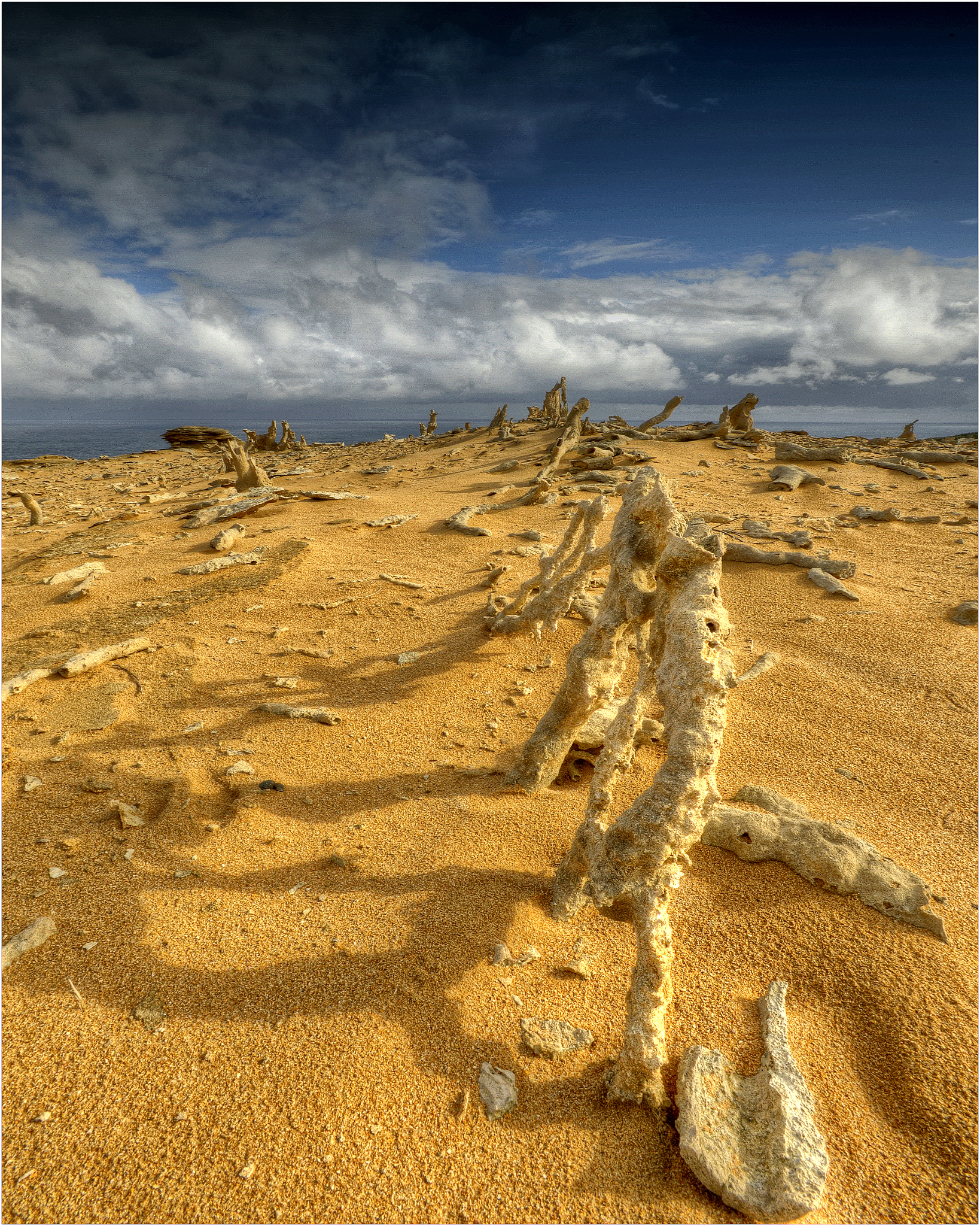 世界生态危机对保护生物的影响回答+拓展