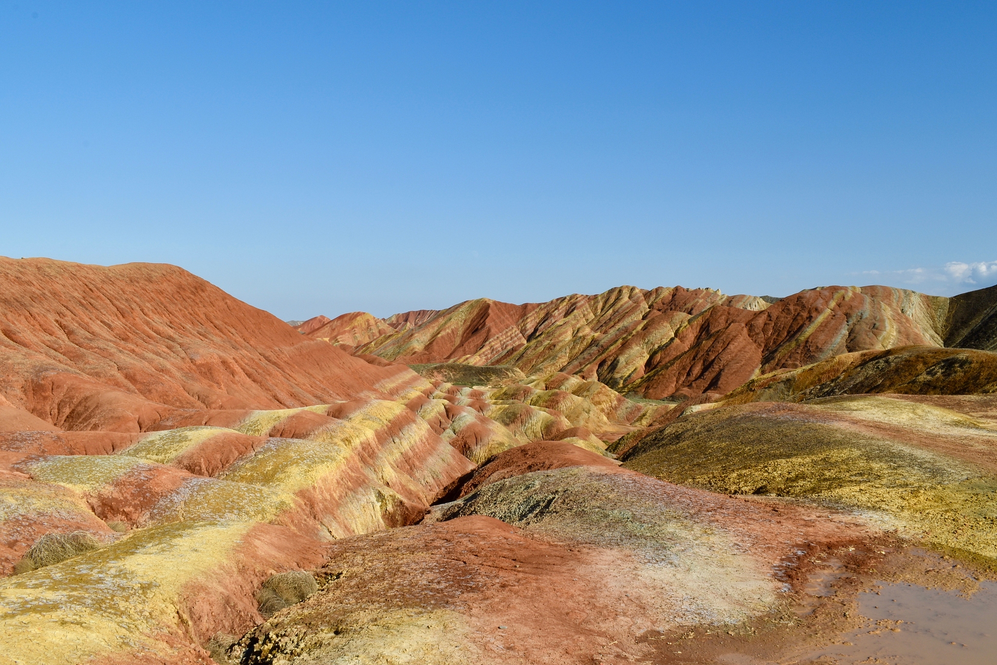 2021年甘肃读中专学校有什么要求