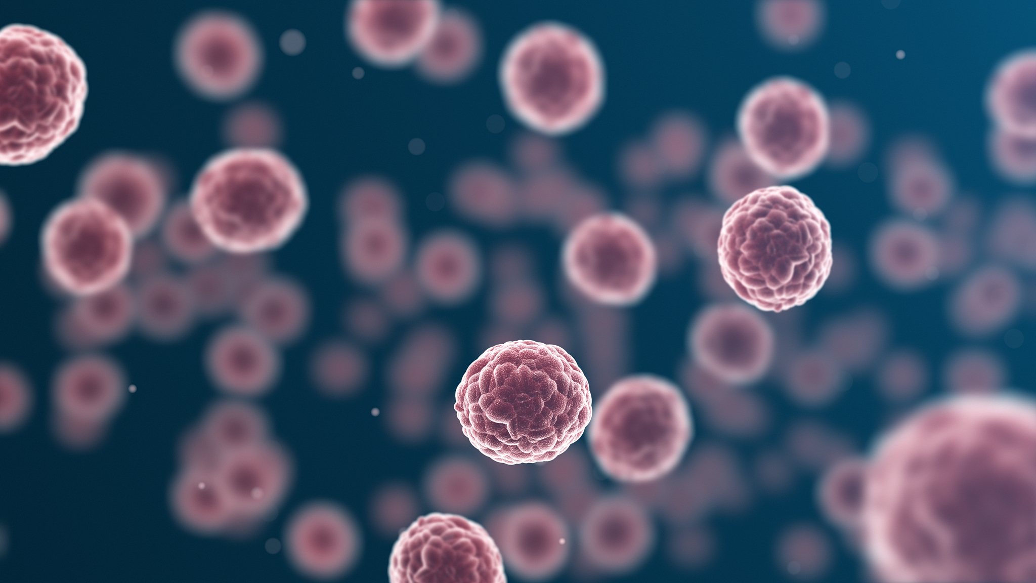 肿瘤球体形成实验步骤及细胞周期分析方法