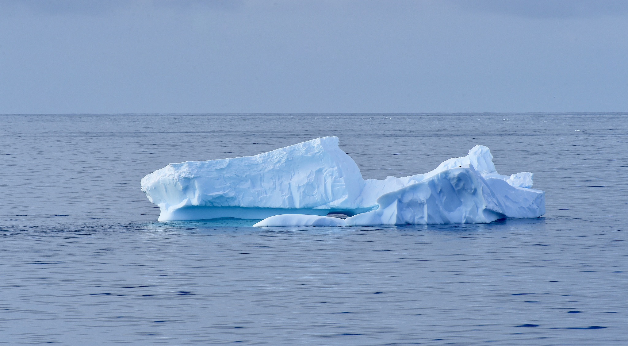 antarctica