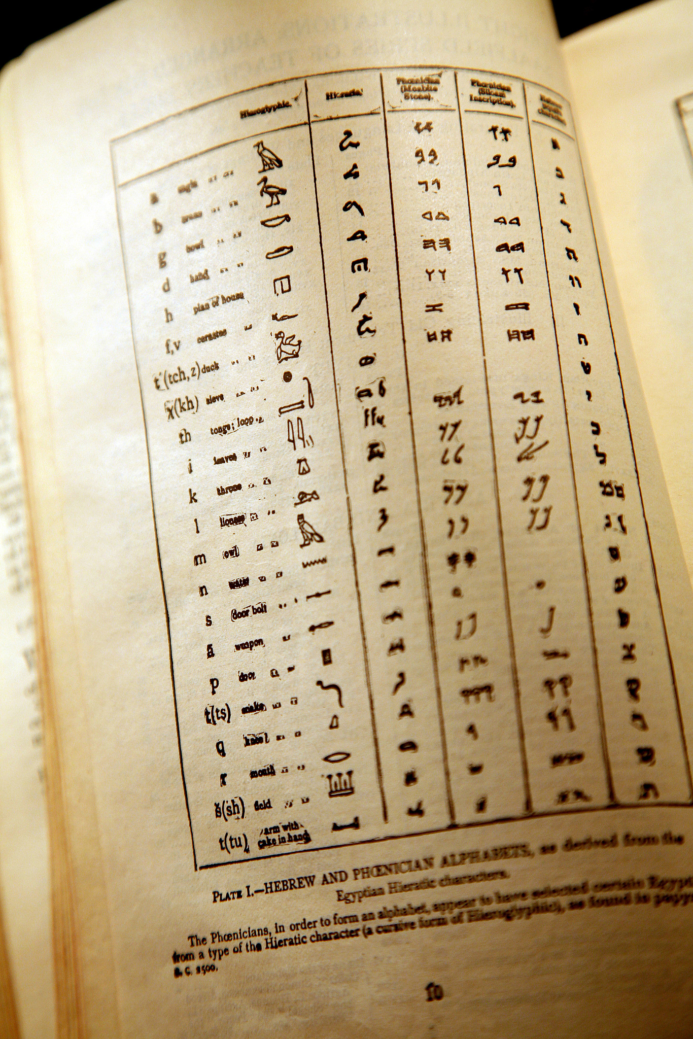 汉藏语系：起源、语言和分布