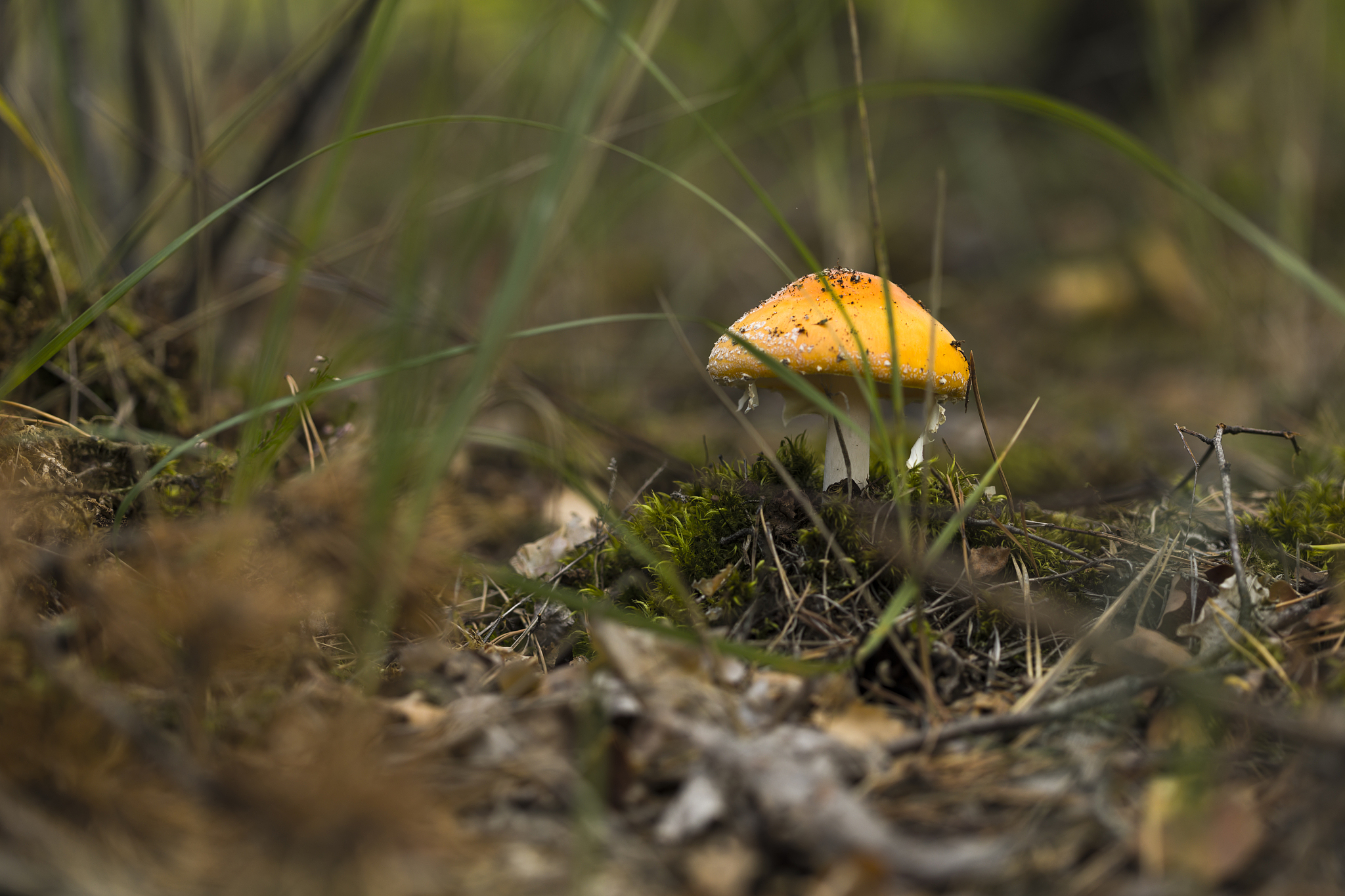 环境毒理学的研究对象