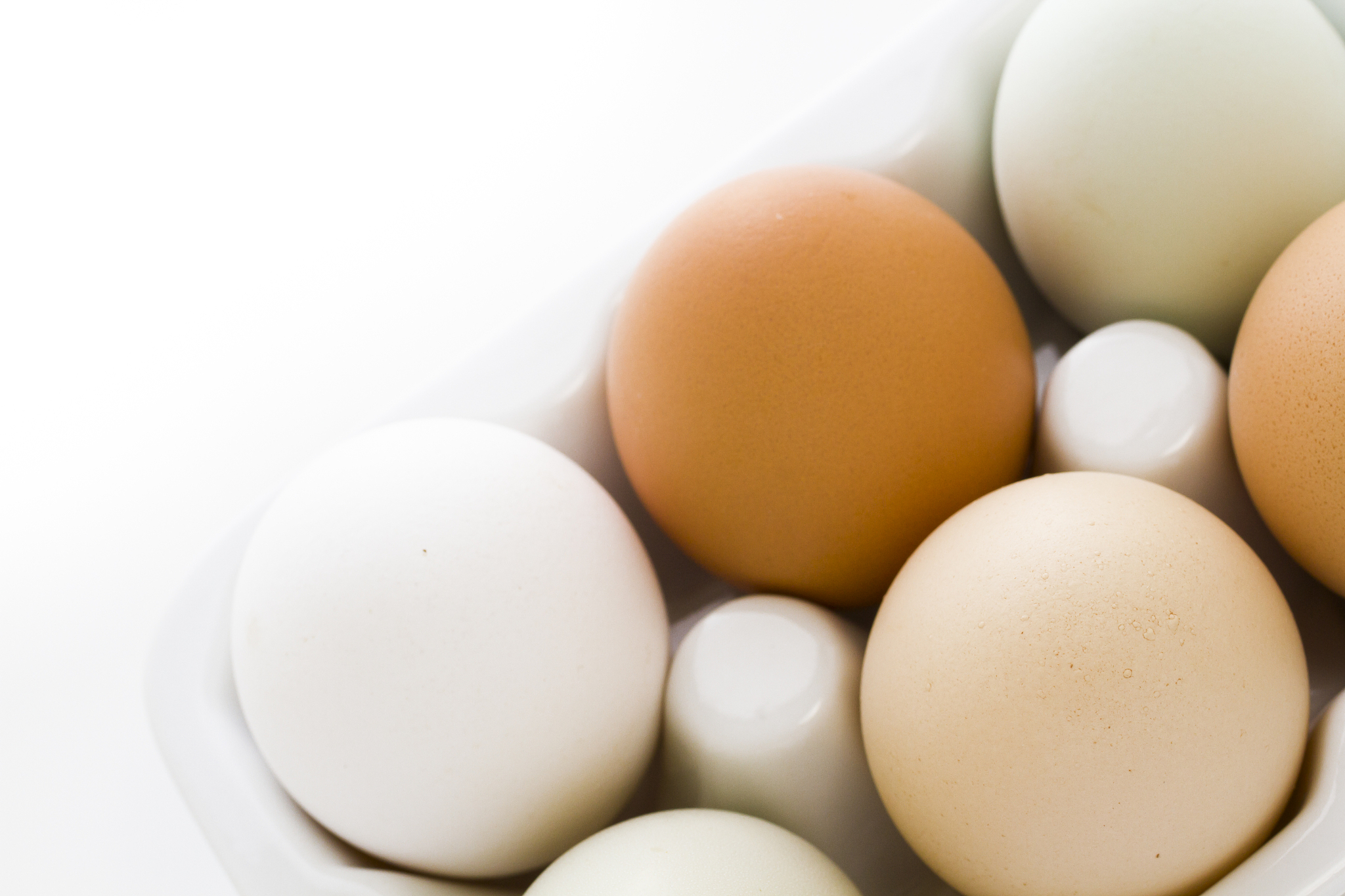 fresh eggs