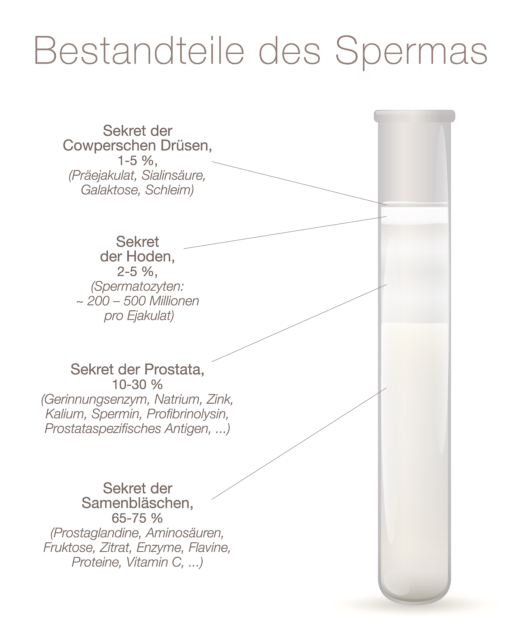 前列腺钙化是什么原因