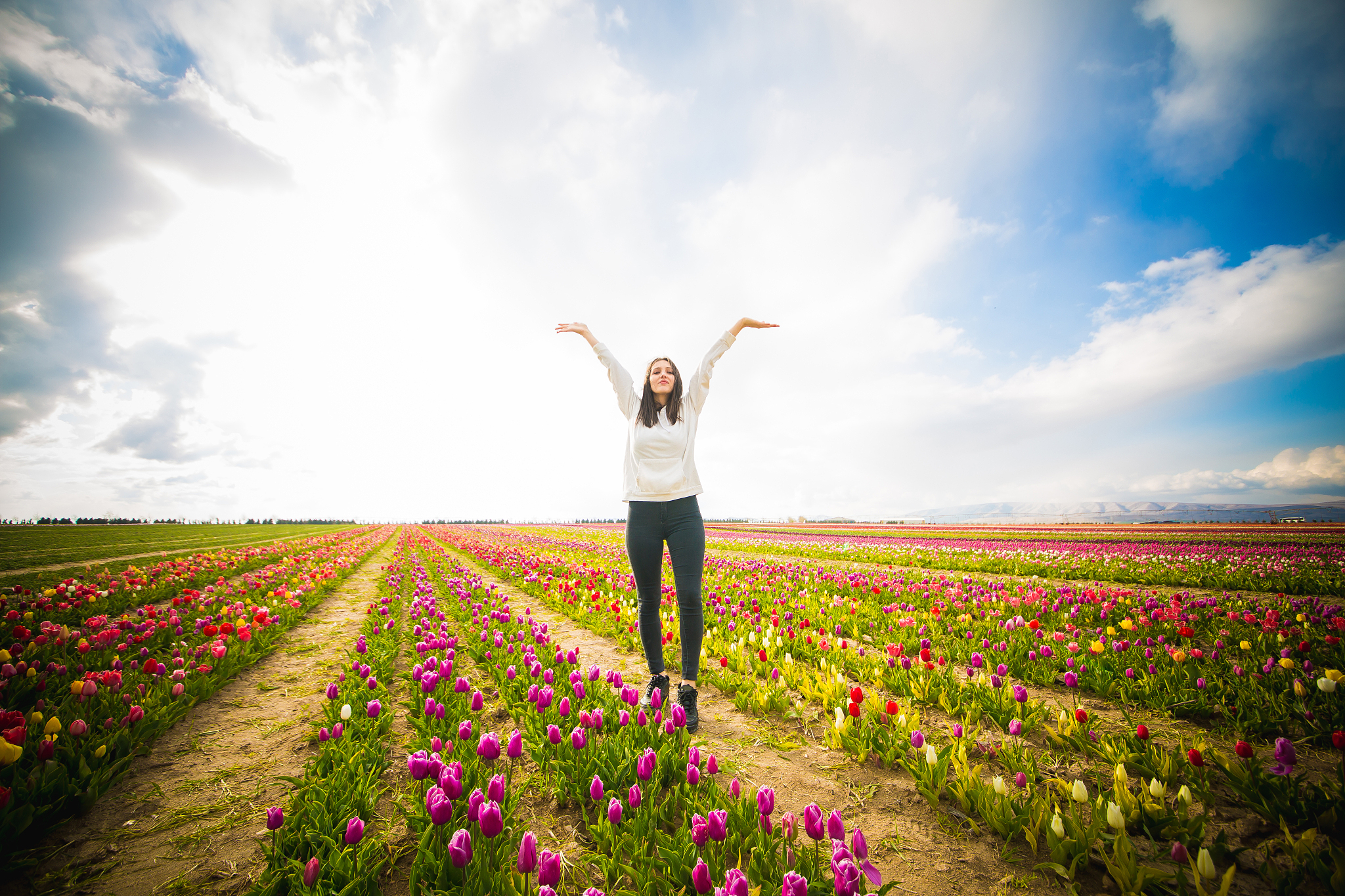 请将这段话进行改写通过调整语序、增减字数、替换同义词等方式避免与原文出现连续8个字相同的句子使这段话更加具有逻辑符合论文的规范：作物生长模型是基于大量试验数据的分析总结出作物生长发育规律以及基因、环境和管理措施之间的相互影响G×E×M并基于此开发出的计算机软件可以模拟作物生长发育的全过程动态反应作物影响因子对作物生长发育和产量形成过程的影响从而实现对作物生长的科学预测和决策。