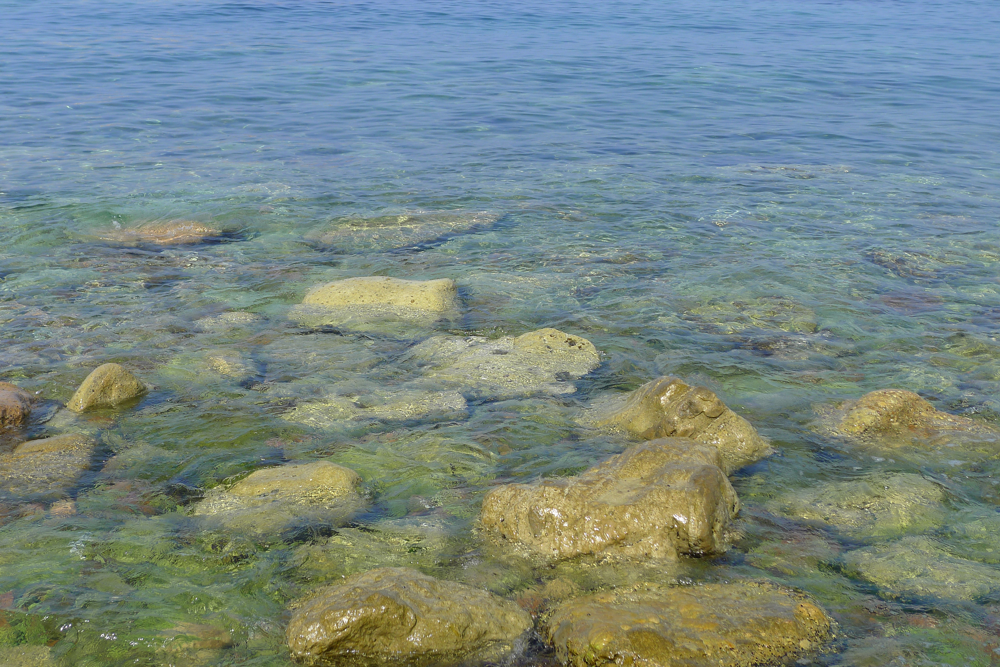 黑石礁海域海水硝酸盐氮和亚硝酸盐氮浓度的时空变化特征