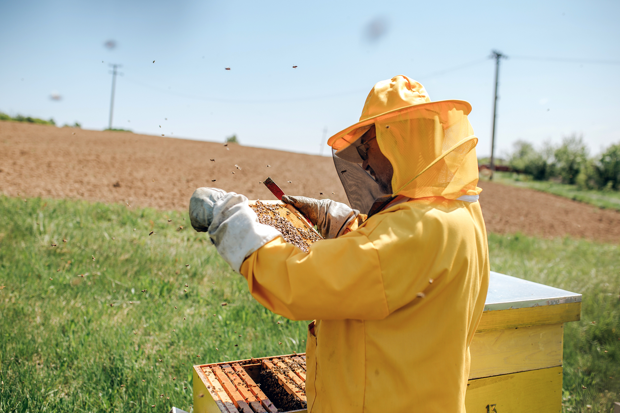 甘肃有什么中专中职学校的动物医学专业好