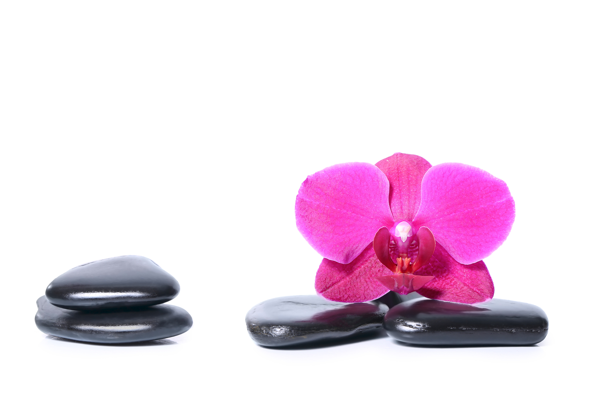 会东县职业技术学校汽车美容与装潢专业好不好发展前景怎样