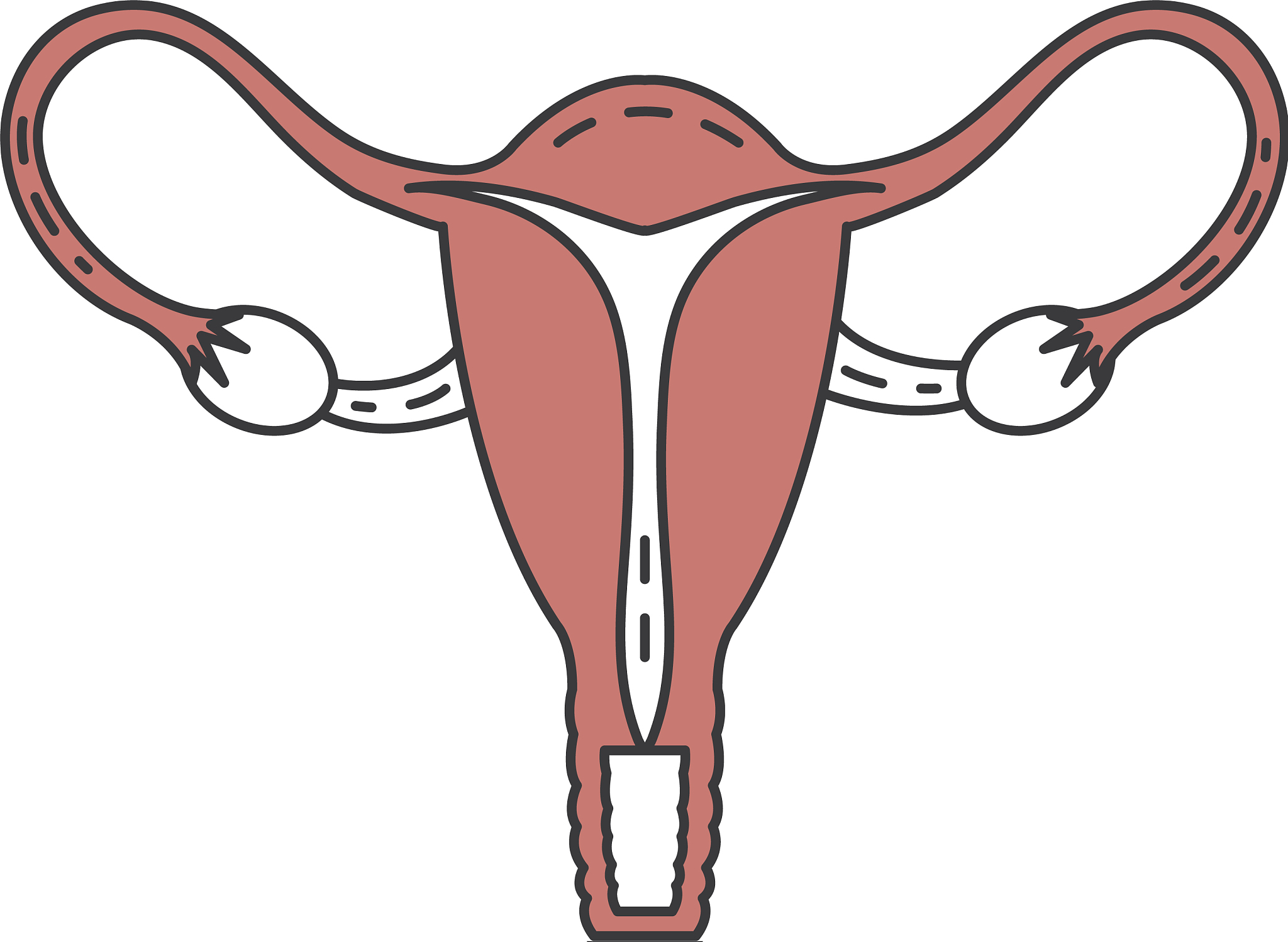 性生活会造成女性生理期推迟吗