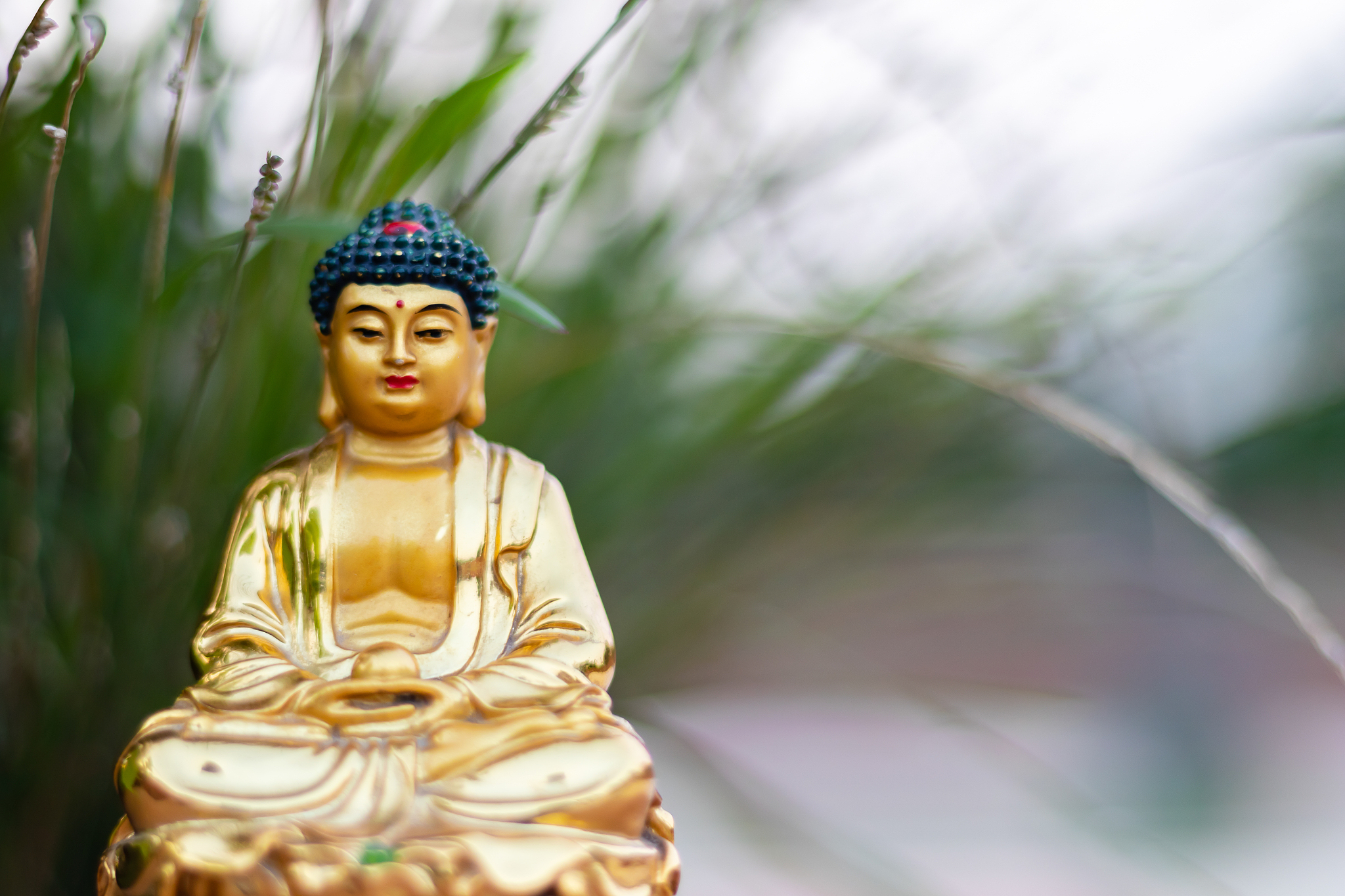 虔诚供奉佛祖菩萨，获得佛恩与禅悦 | 如何在俗世中寻求清净？